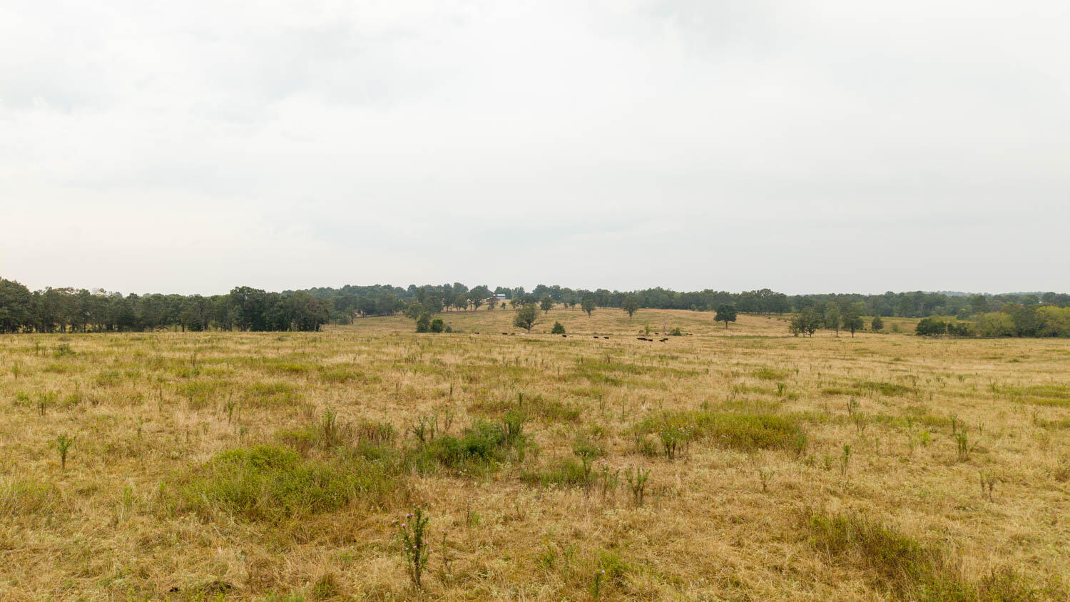 1350 County Road 405 Property Photo 50