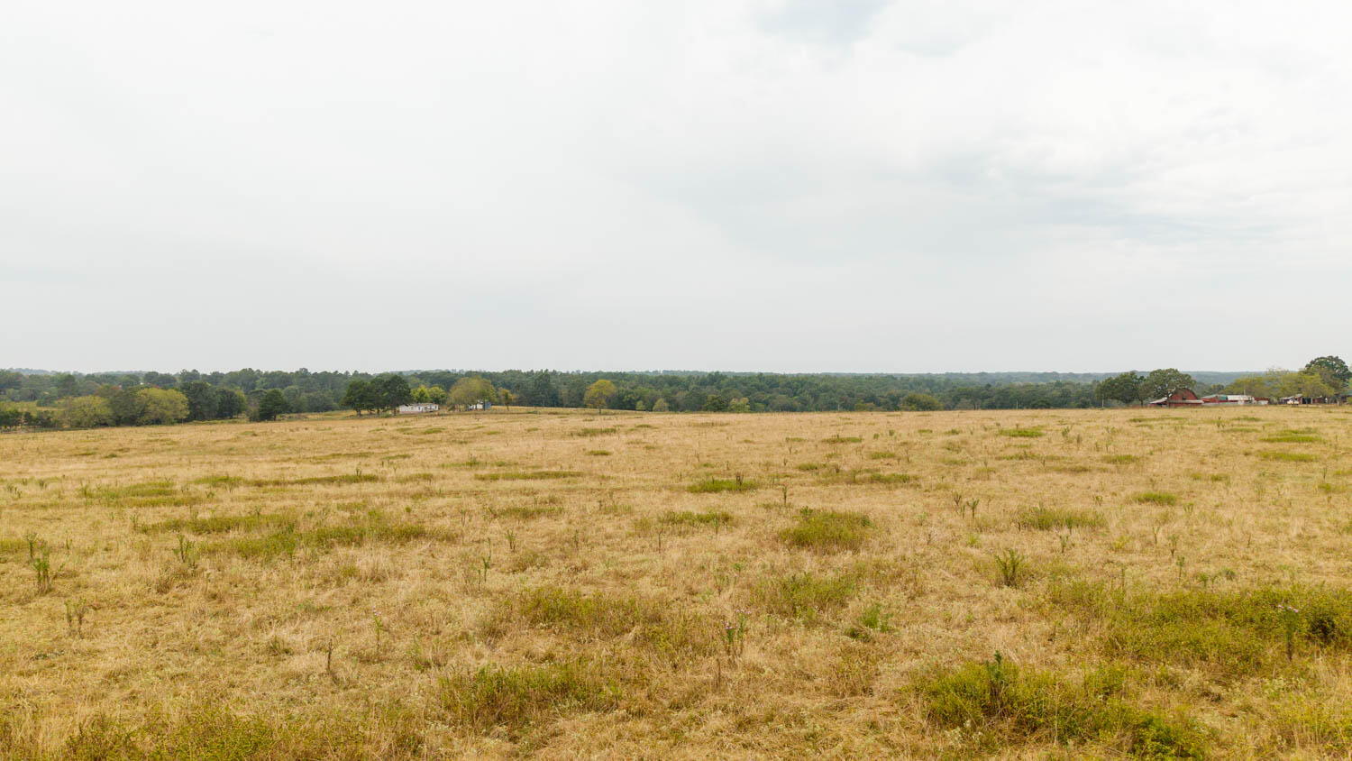 1350 County Road 405 Property Photo 51