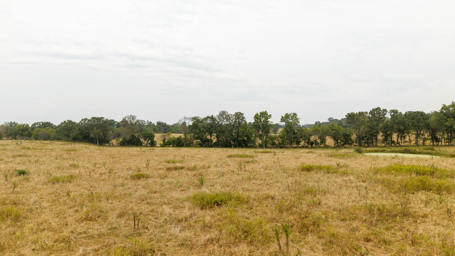 1350 County Road 405 Property Photo 52