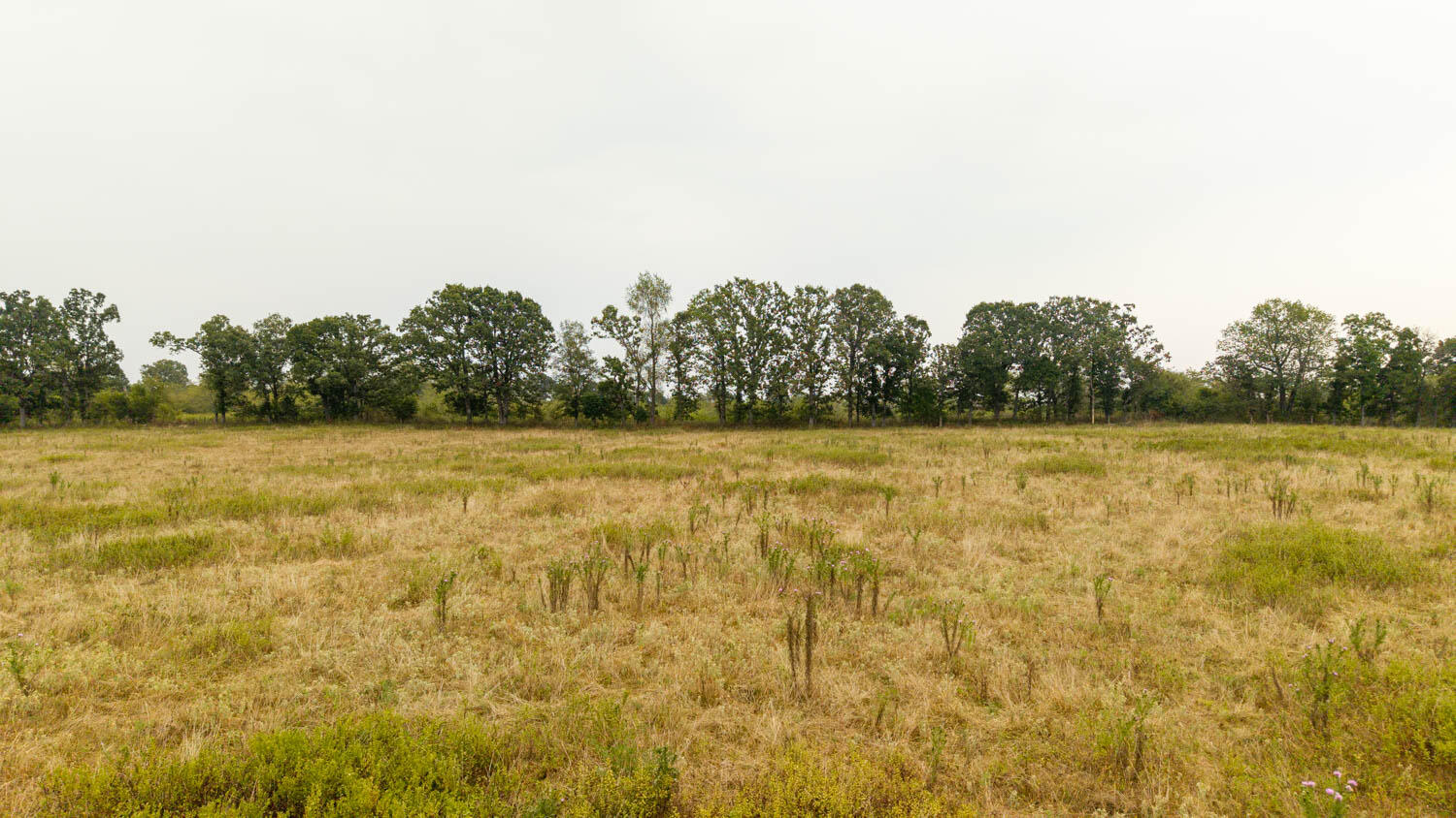 1350 County Road 405 Property Photo 53