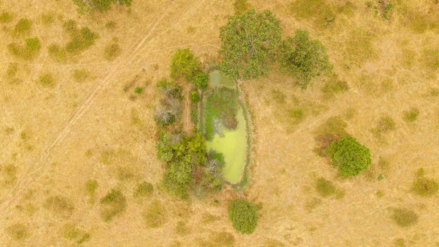 1350 County Road 405 Property Photo 55