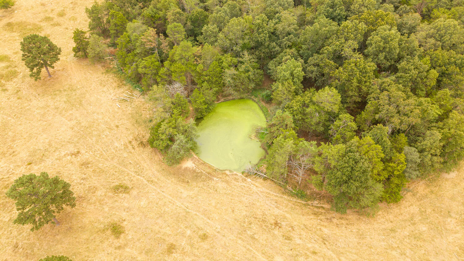 1350 County Road 405 Property Photo 56