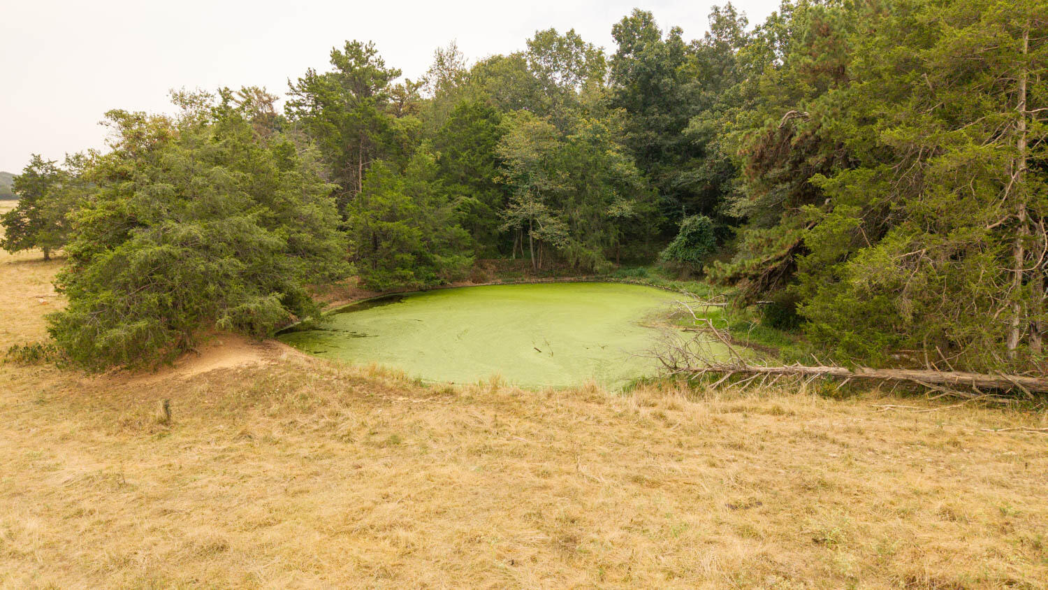 1350 County Road 405 Property Photo 57
