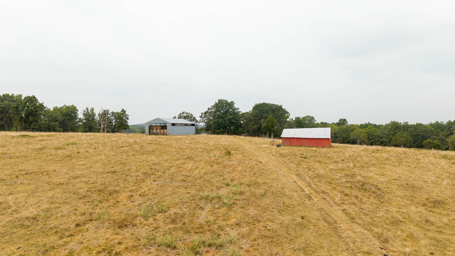 1350 County Road 405 Property Photo 58