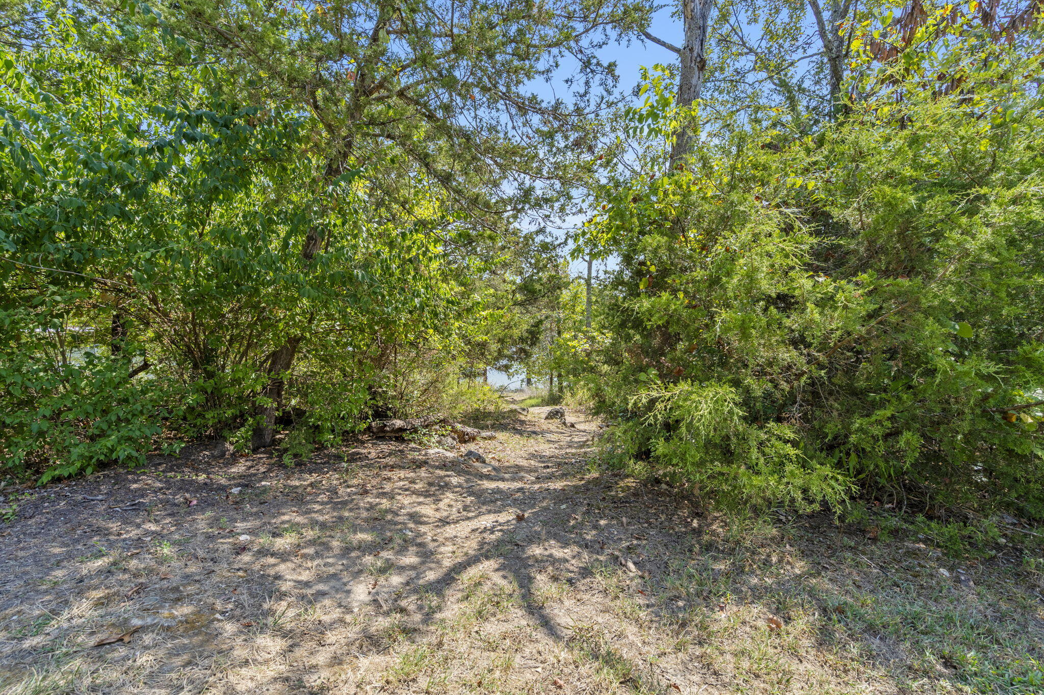 54 Lindal Cedar Lane Property Photo 2