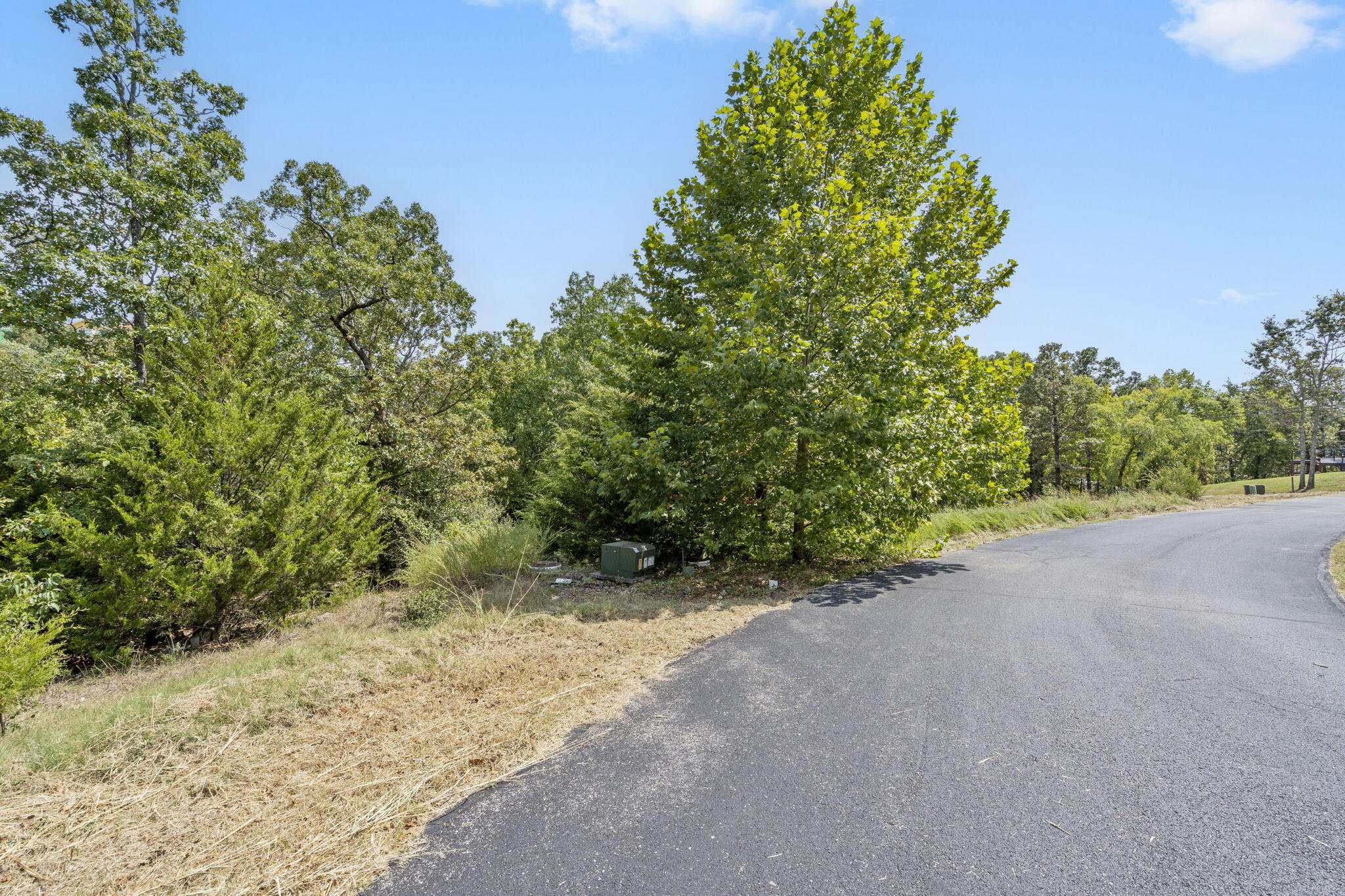 54 Lindal Cedar Lane Property Photo 6