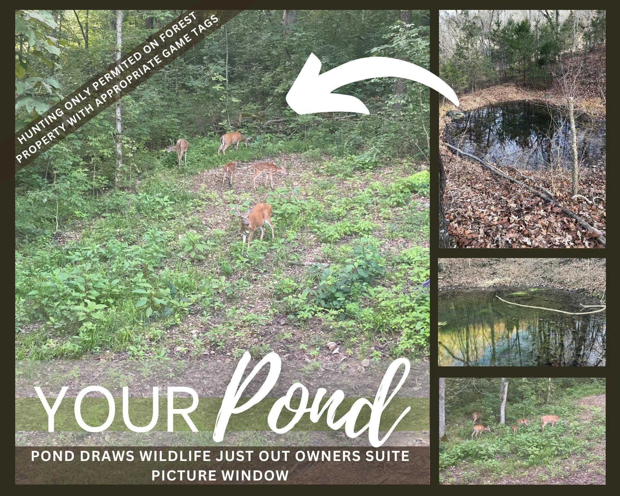 28 Irish Hills Boulevard Property Photo 10