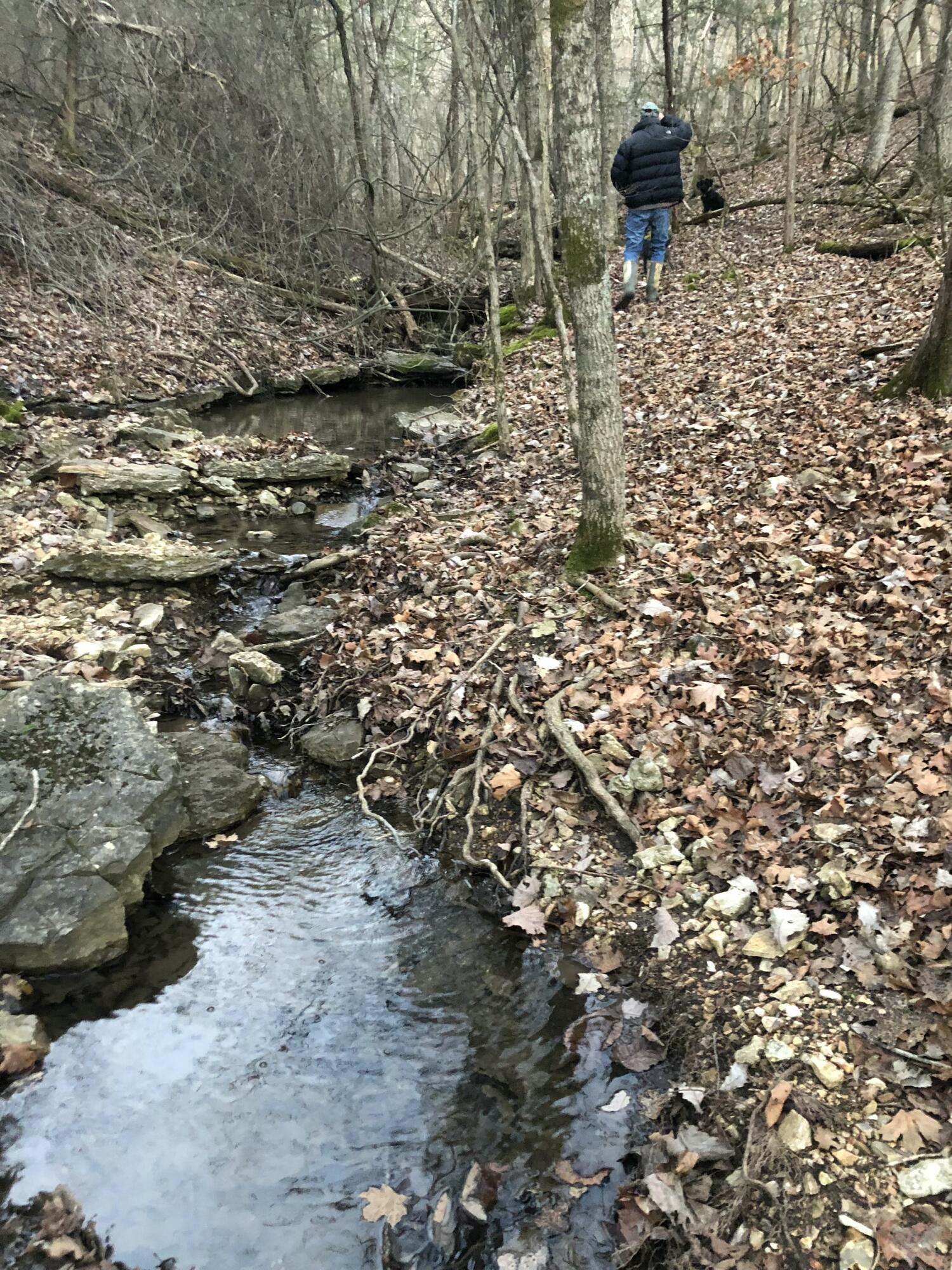 28 Irish Hills Boulevard Property Photo 79