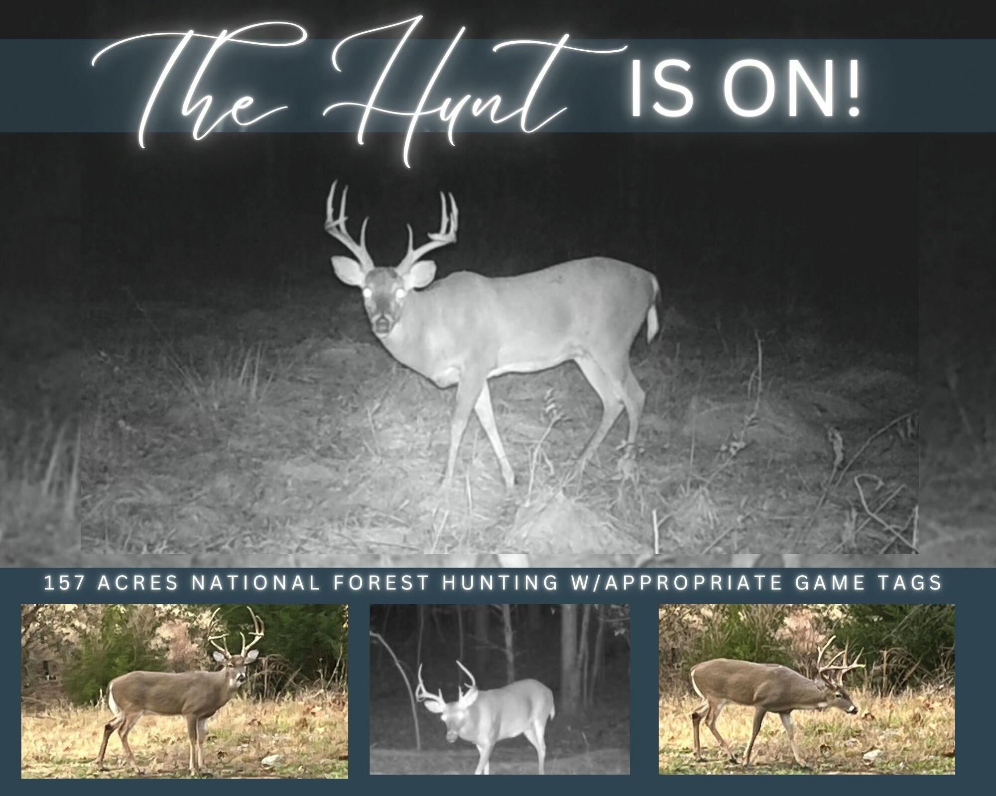 28 Irish Hills Boulevard Property Photo 80