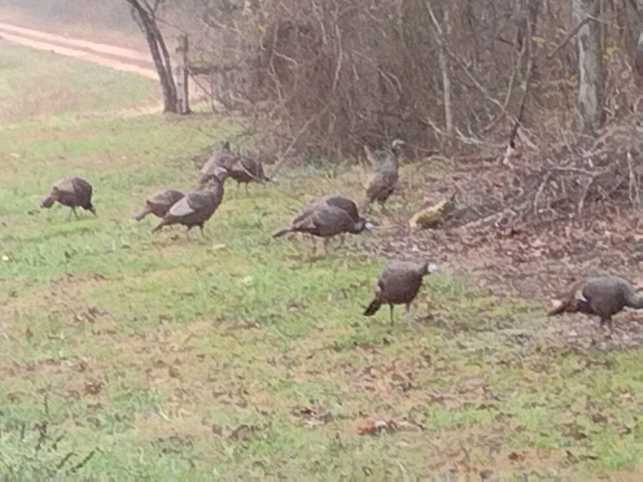 1211 County Road 316 Property Photo 29