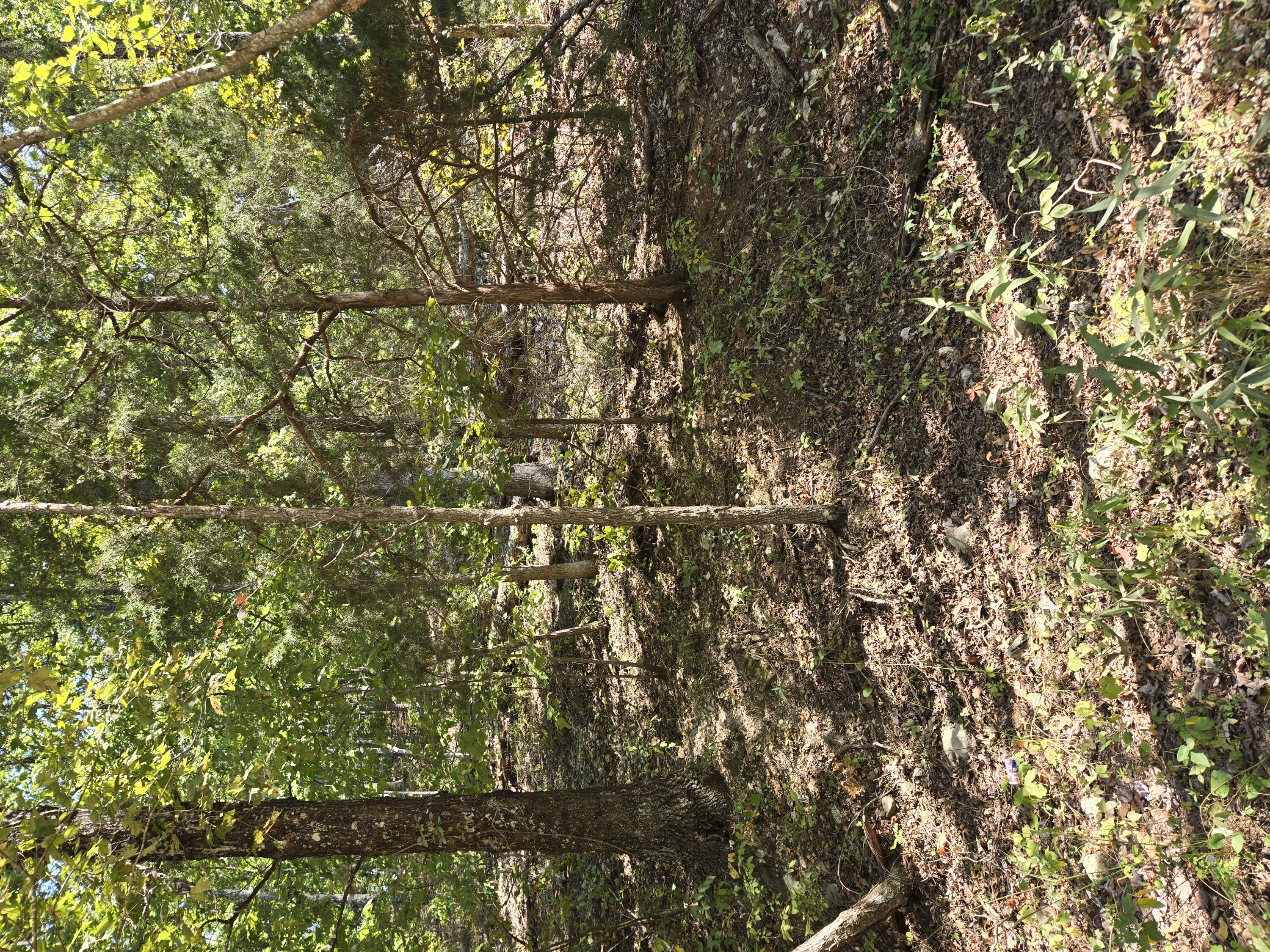 000 County Road 421 Property Photo 1