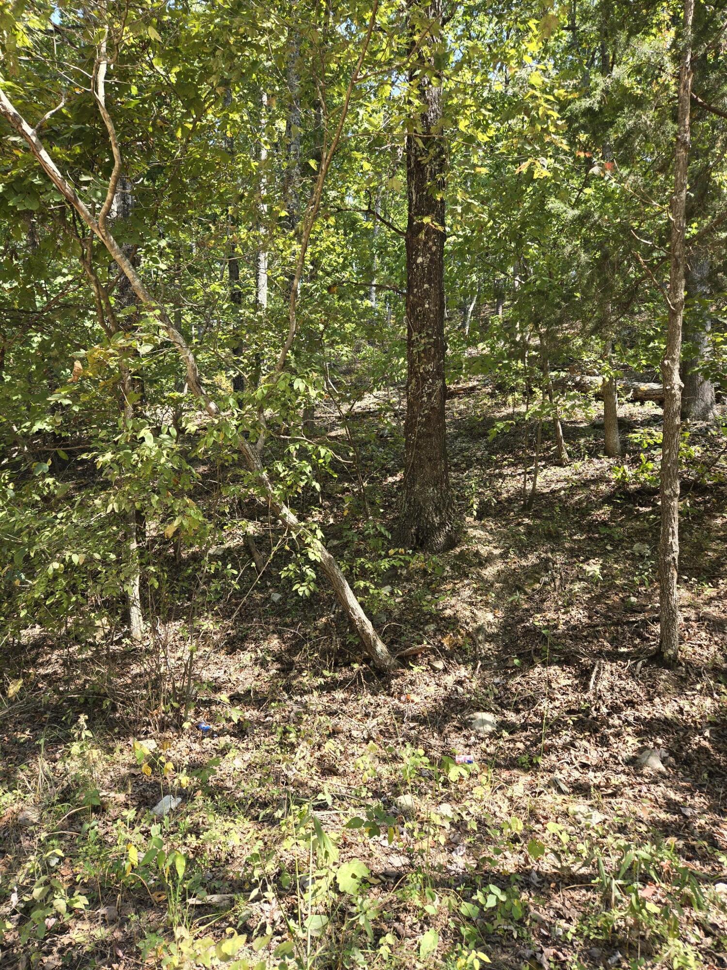 000 County Road 421 Property Photo 2