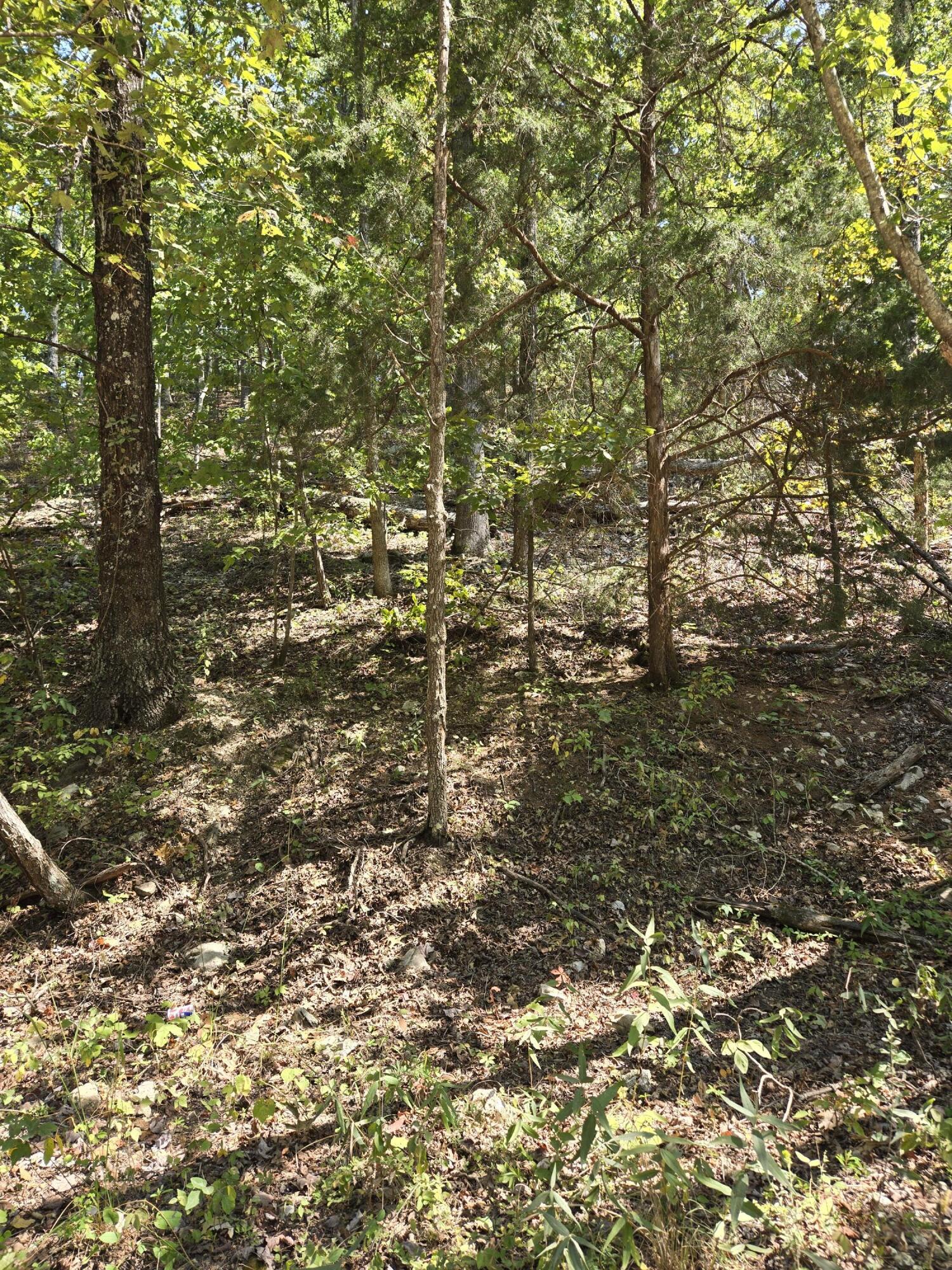 000 County Road 421 Property Photo 3
