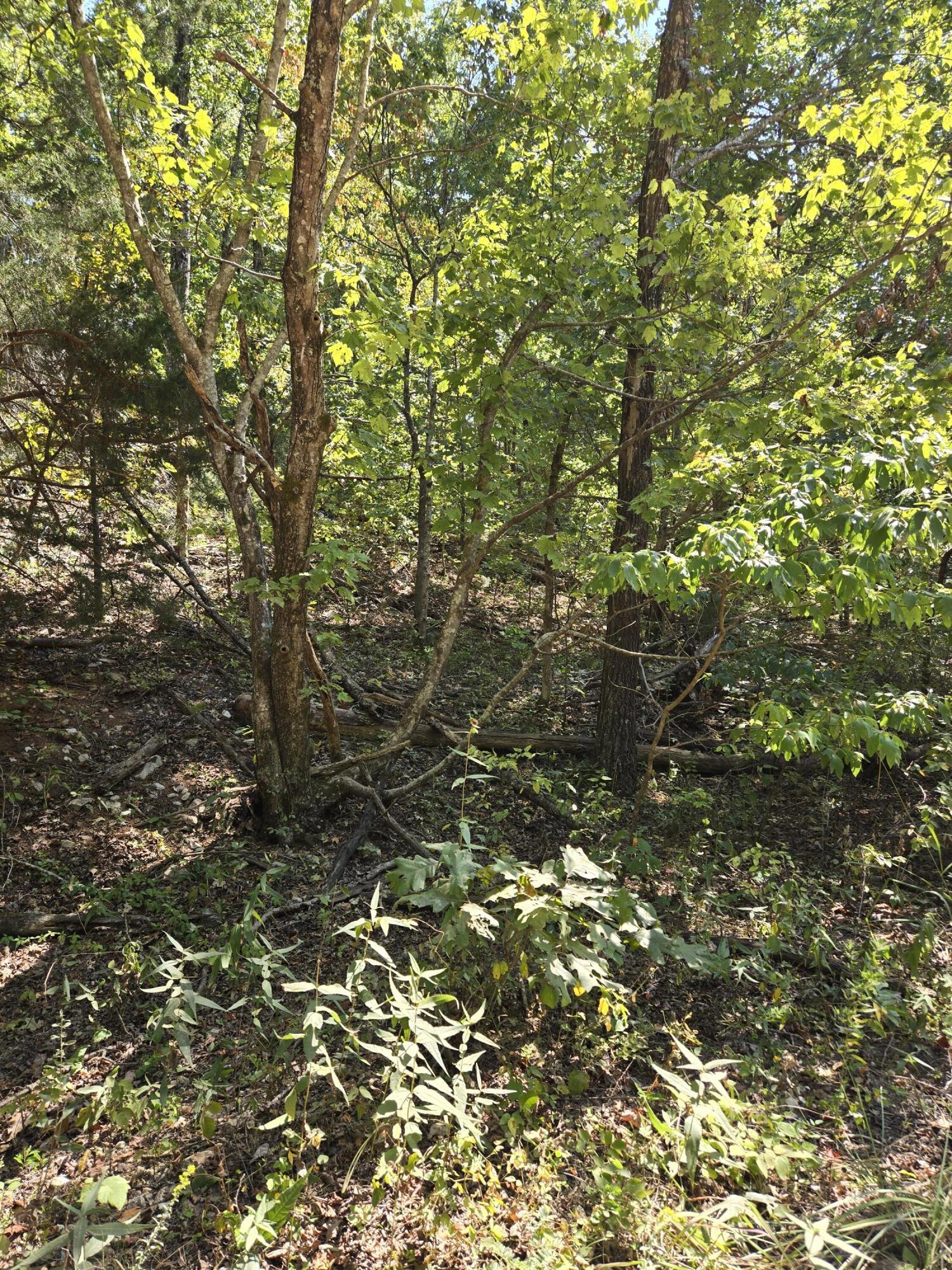 000 County Road 421 Property Photo 4