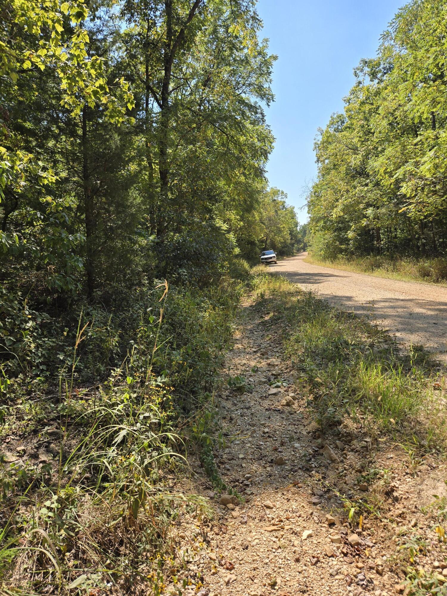 000 County Road 421 Property Photo 5