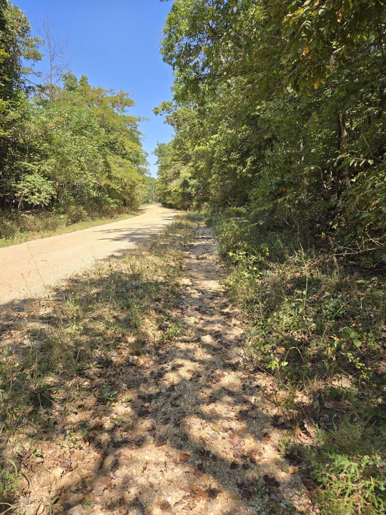 000 County Road 421 Property Photo 6