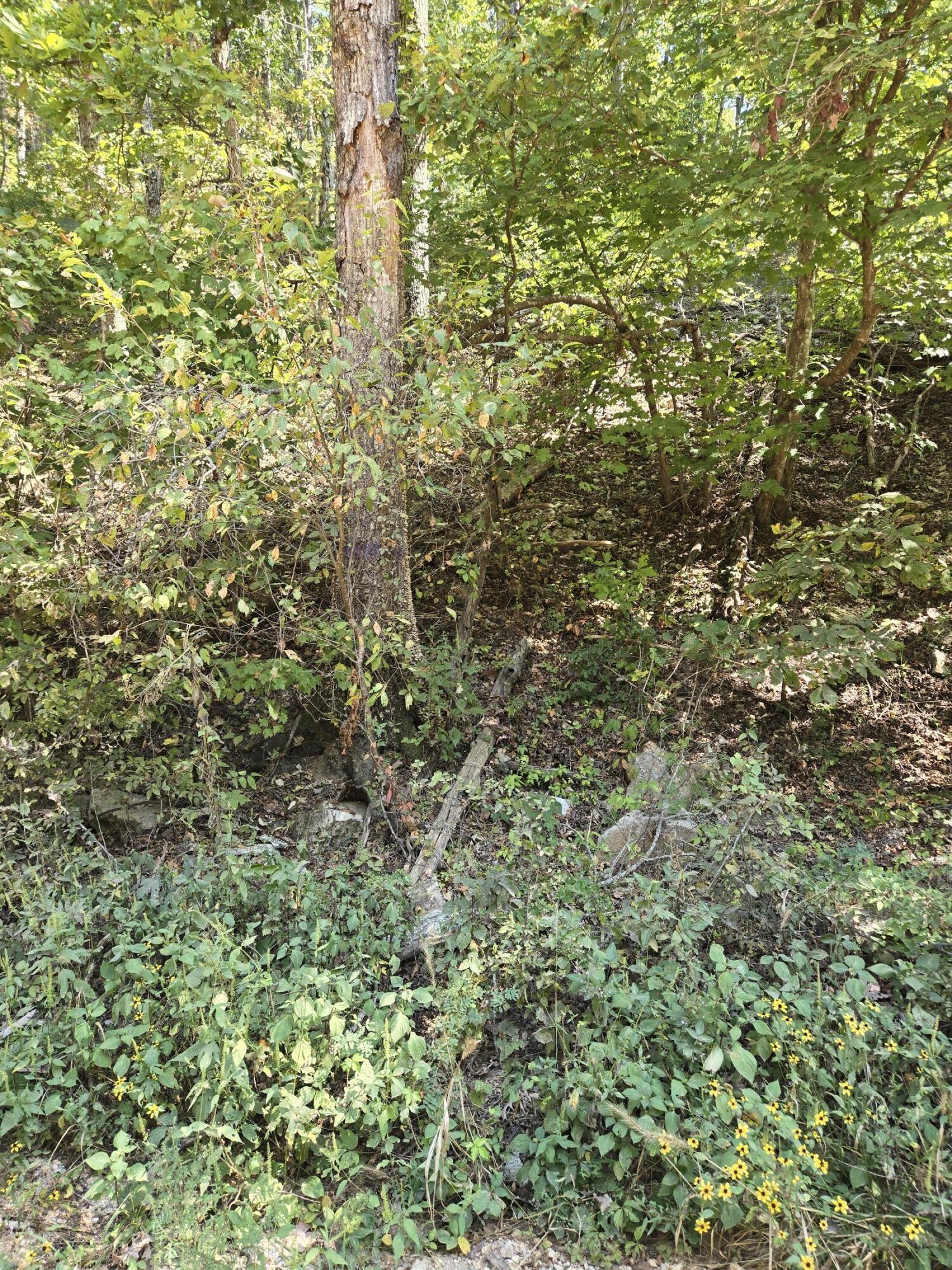 000 County Road 421 Property Photo 7