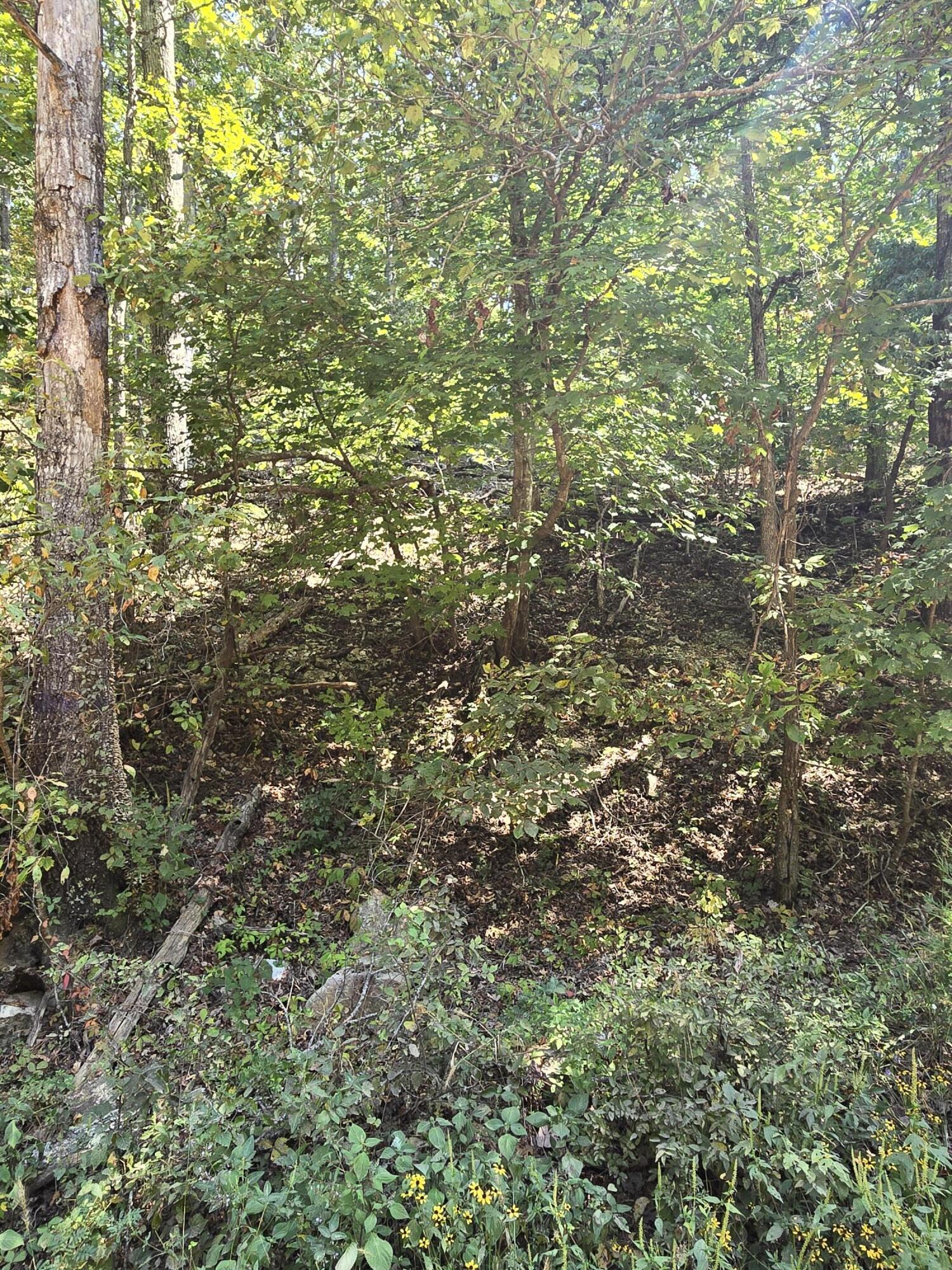 000 County Road 421 Property Photo 10