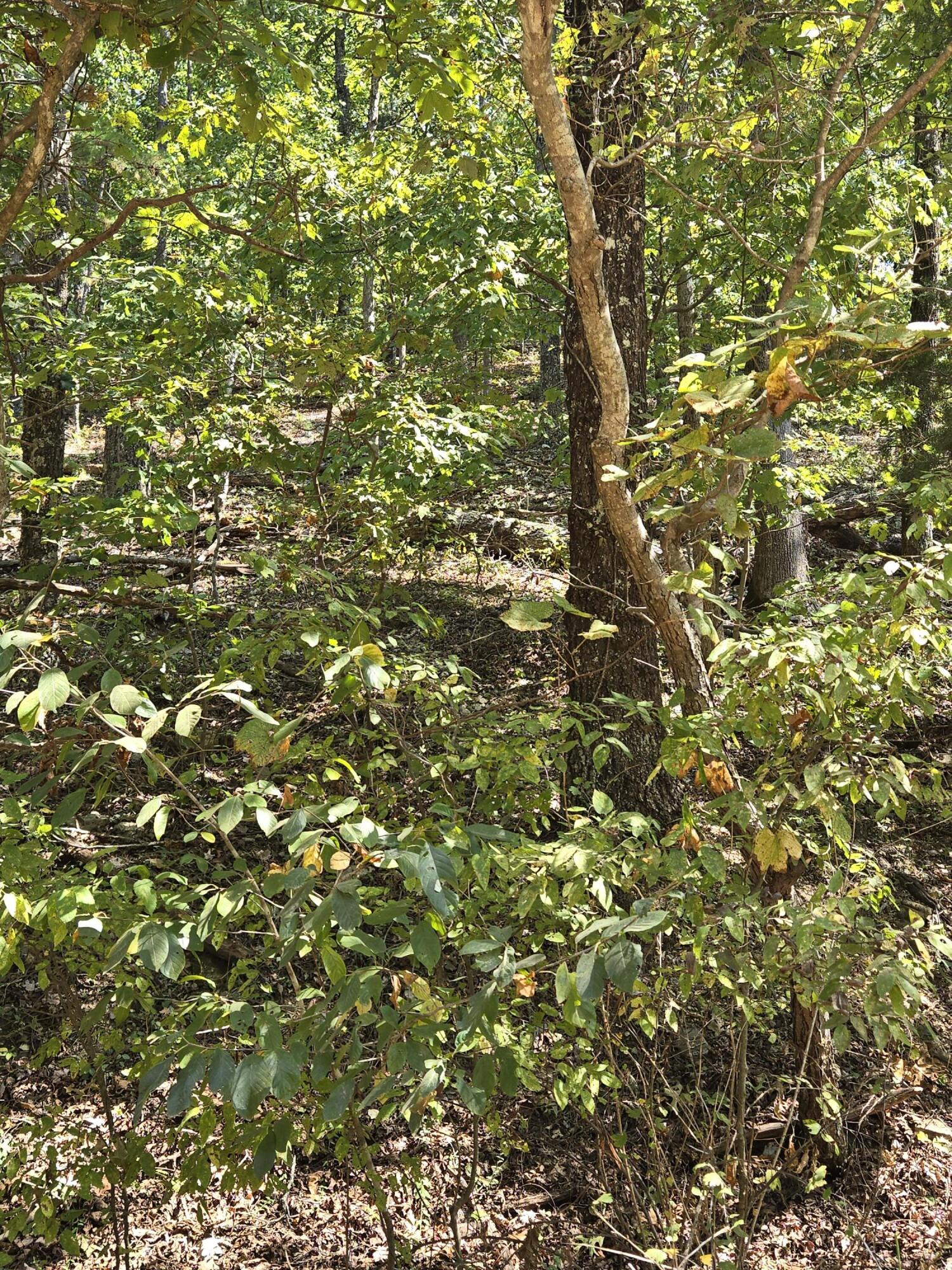 000 County Road 421 Property Photo 11