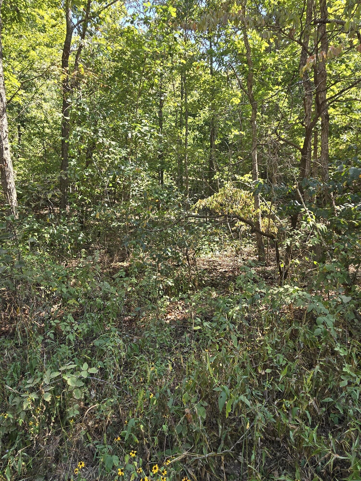 000 County Road 421 Property Photo 12