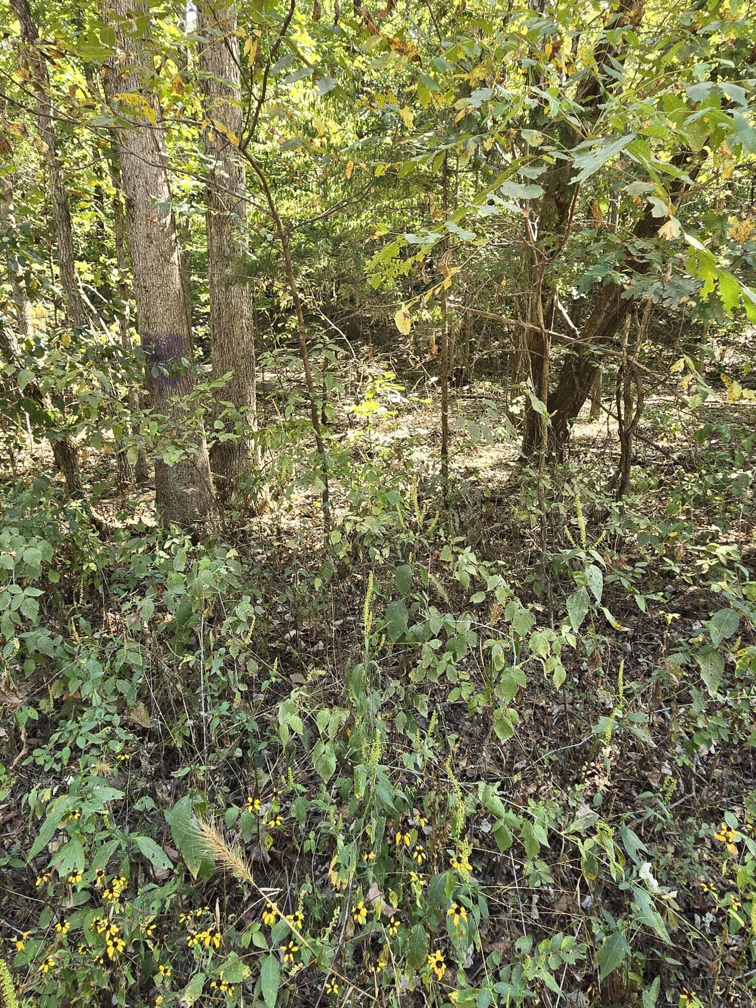 000 County Road 421 Property Photo 13