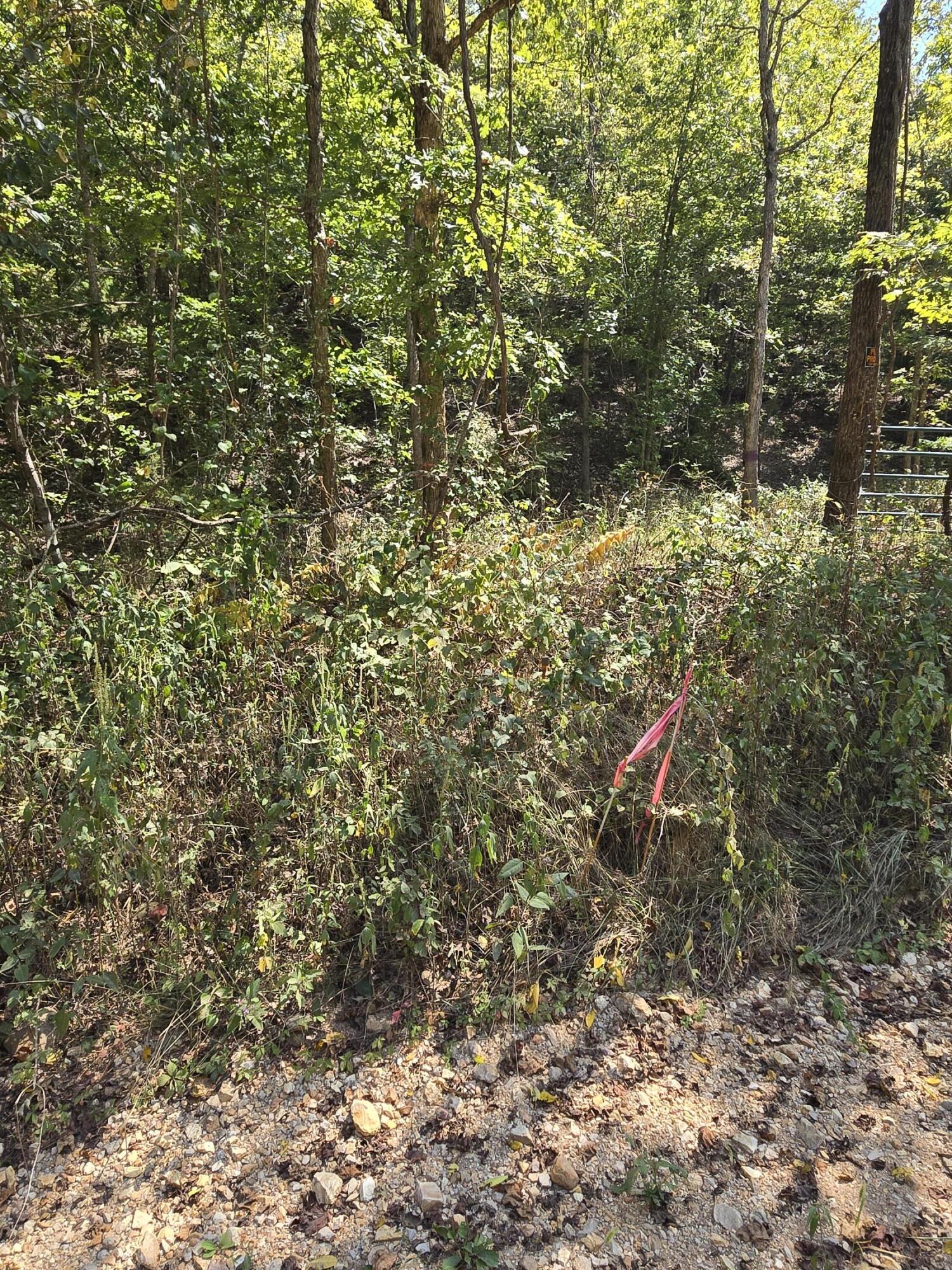 000 County Road 421 Property Photo 14