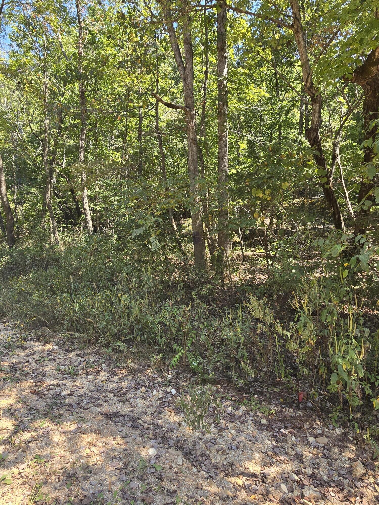000 County Road 421 Property Photo 15