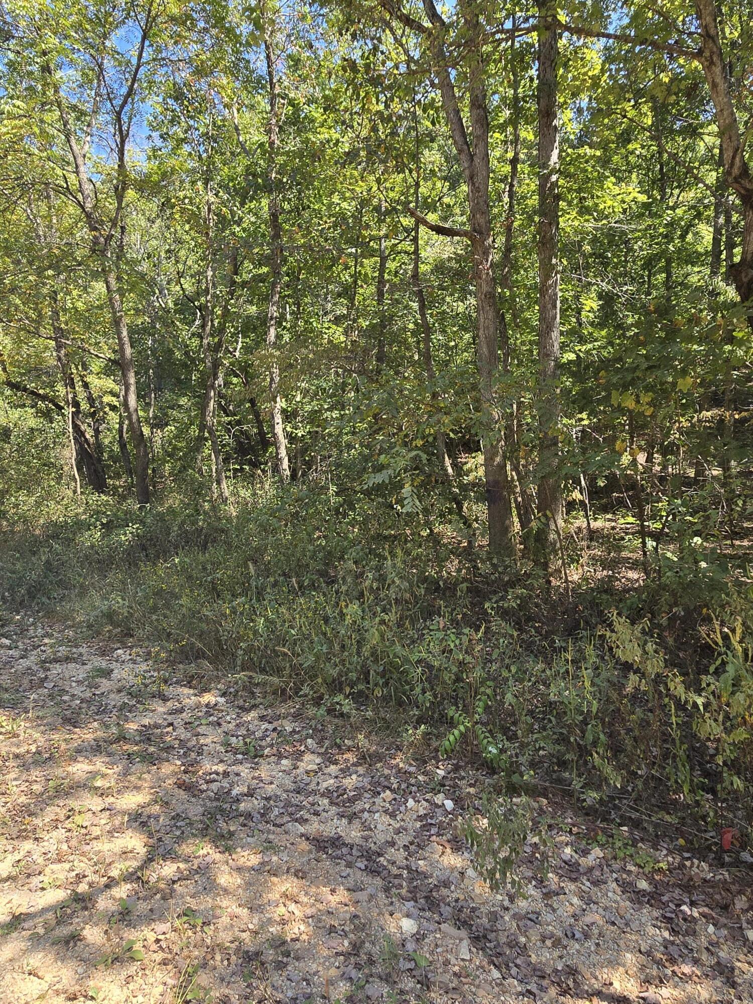 000 County Road 421 Property Photo 16
