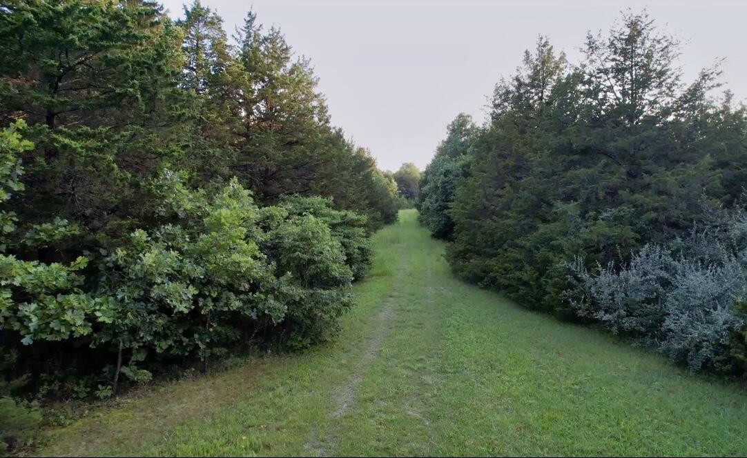 000 Eagles Nest Road Property Photo 8