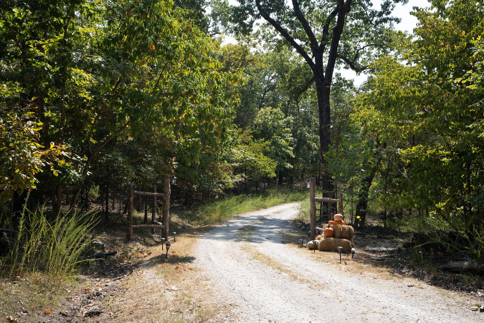 1466 Blackwell Ferry Road Property Photo 5