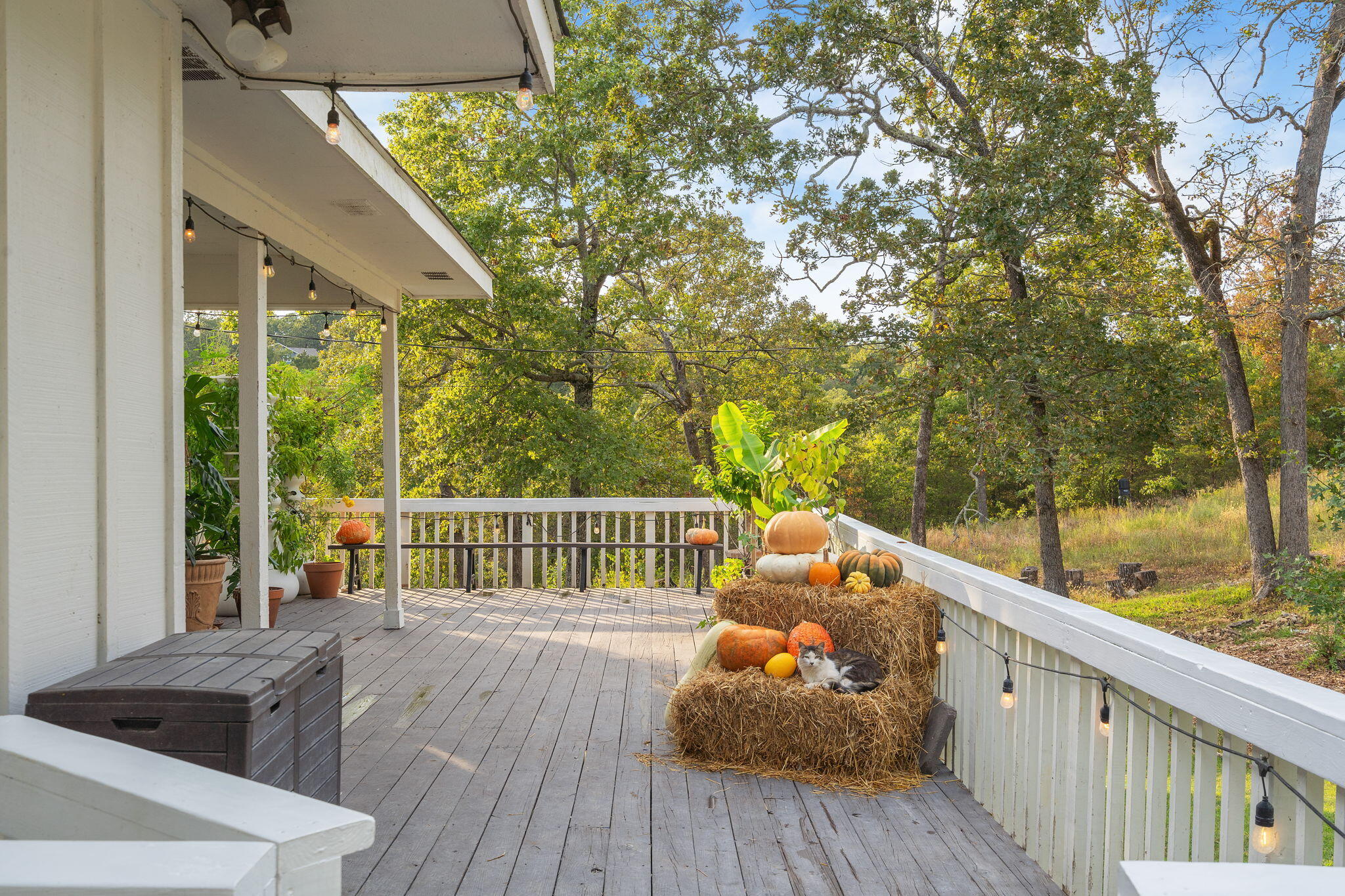 1466 Blackwell Ferry Road Property Photo 11