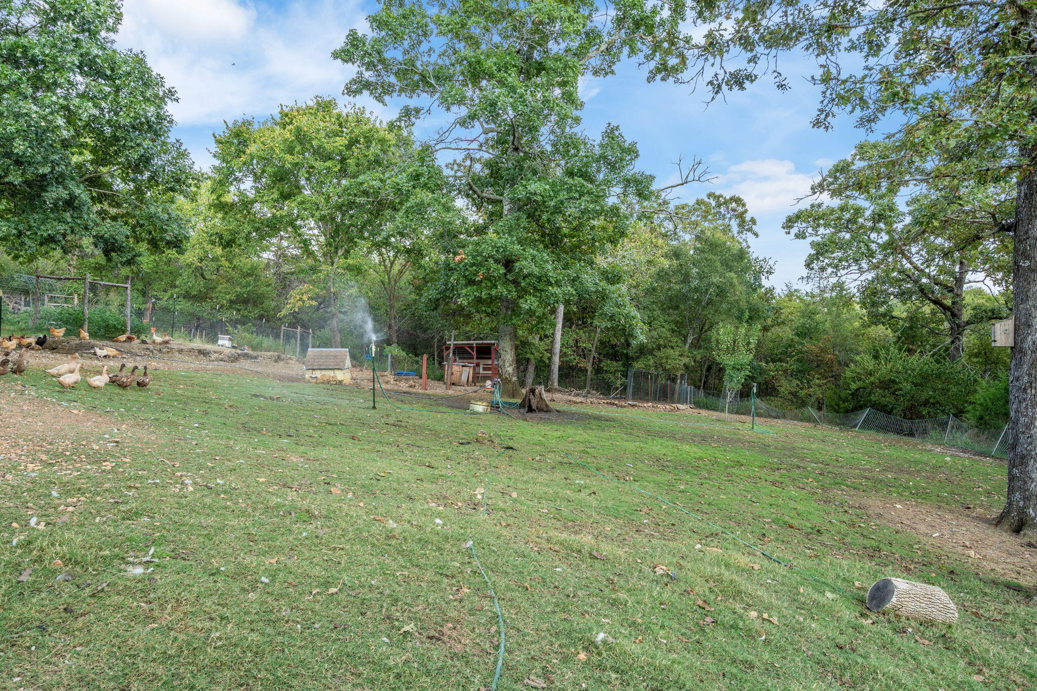 1466 Blackwell Ferry Road Property Photo 55