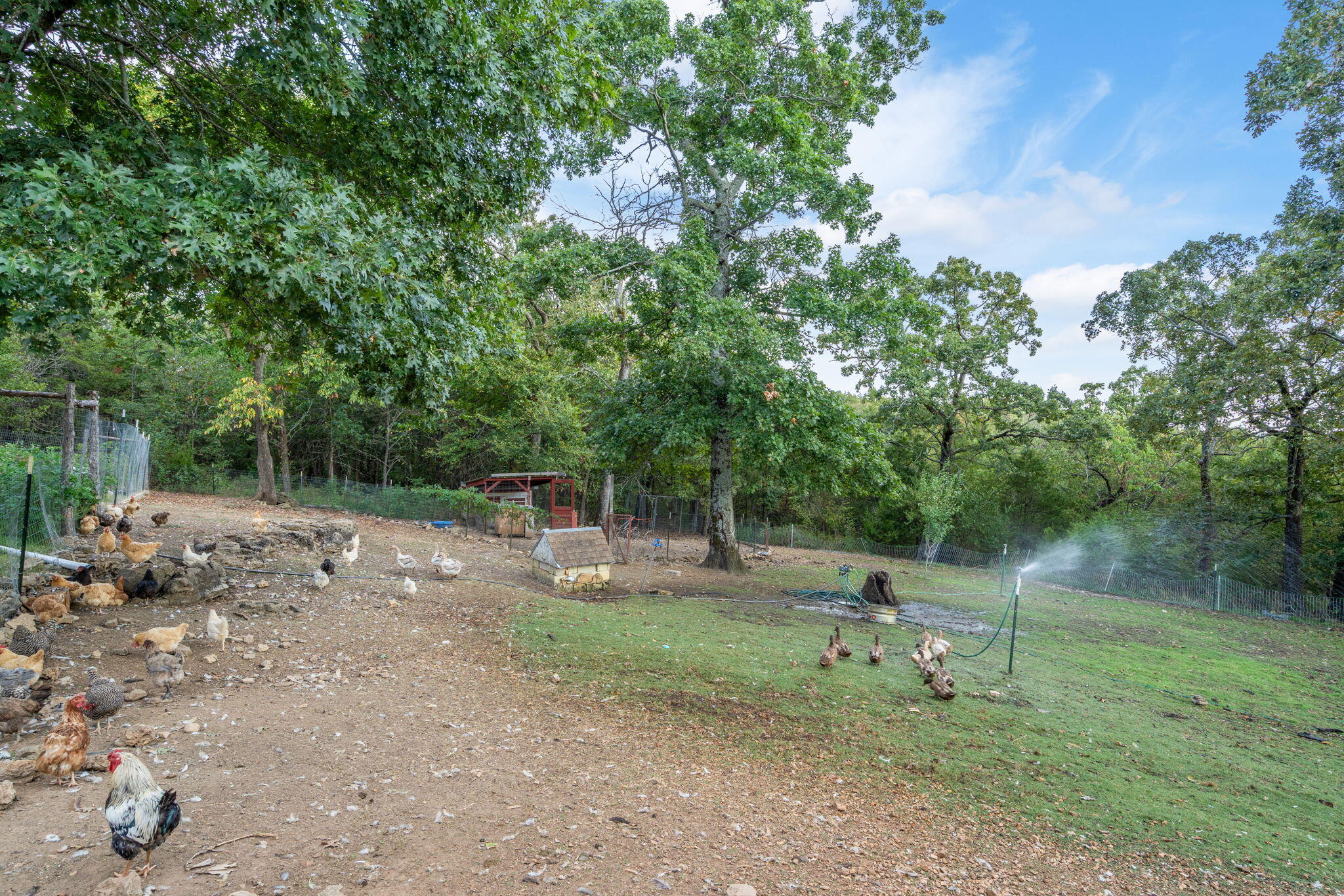 1466 Blackwell Ferry Road Property Photo 56