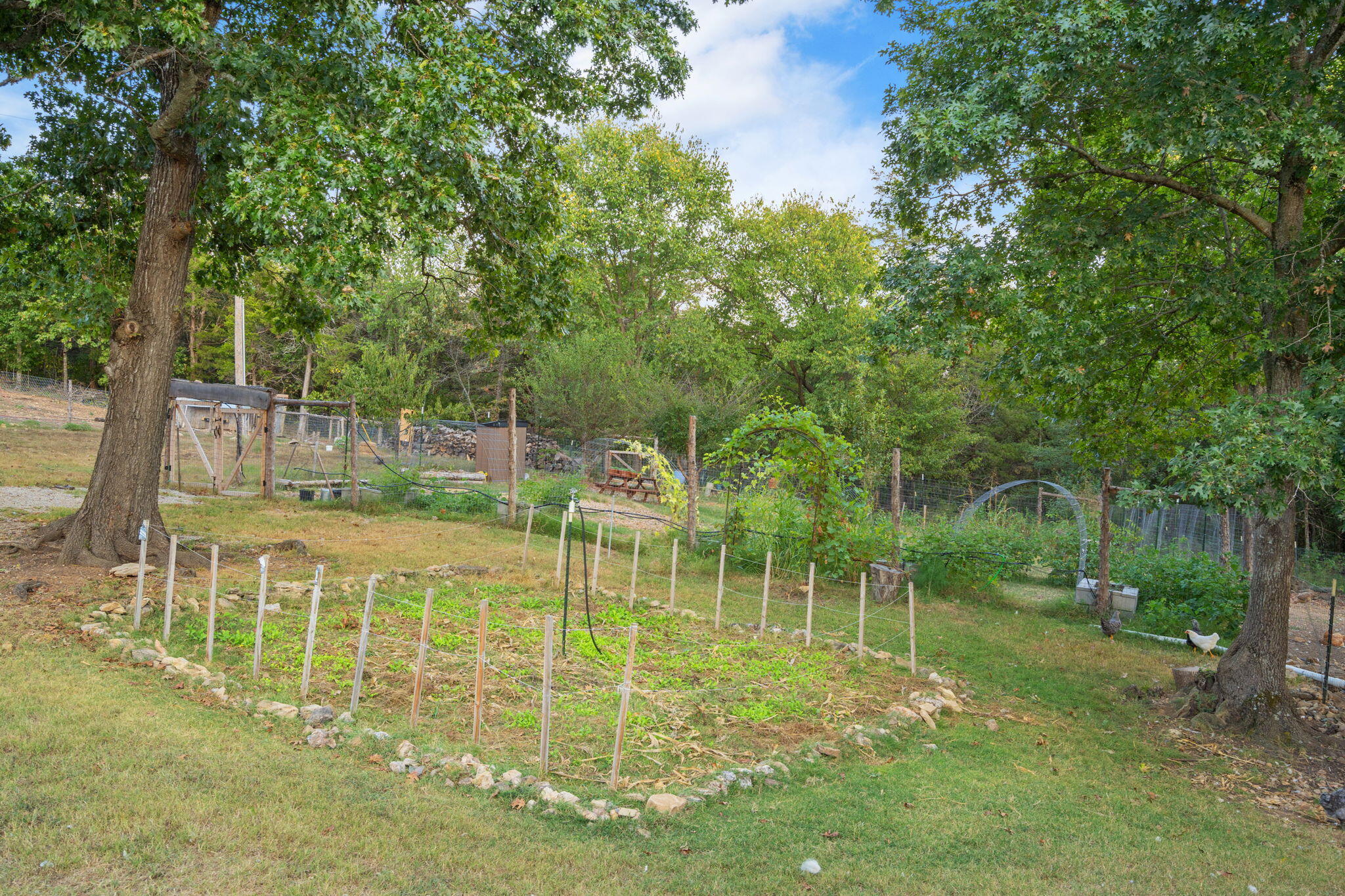 1466 Blackwell Ferry Road Property Photo 60