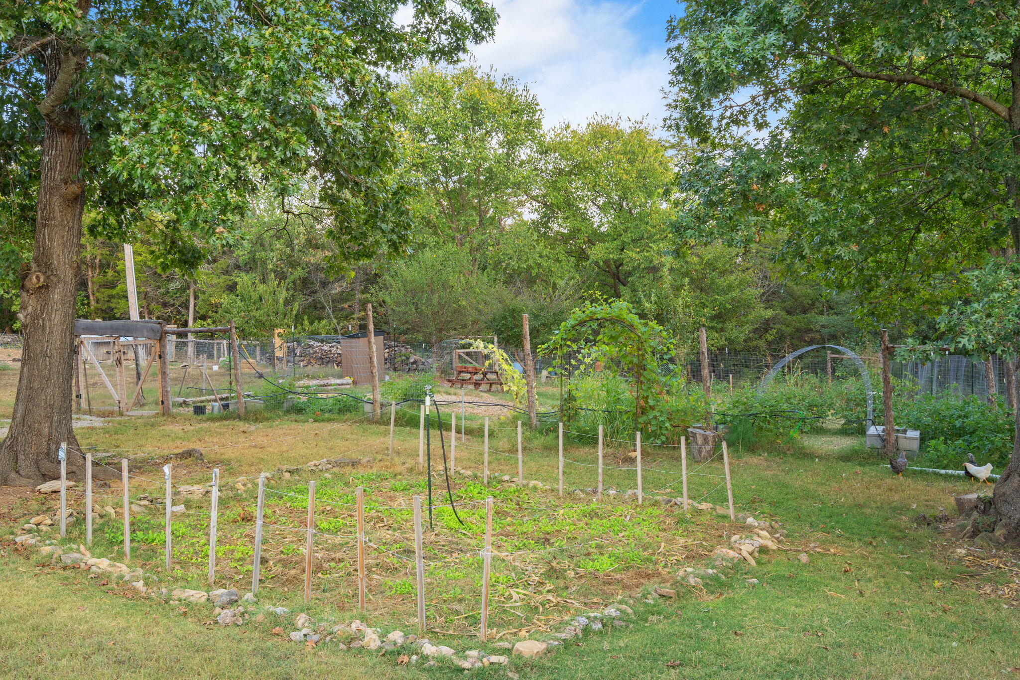 1466 Blackwell Ferry Road Property Photo 61