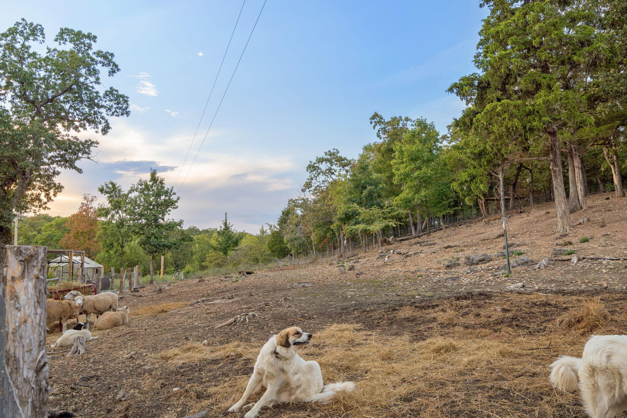 1466 Blackwell Ferry Road Property Photo 63