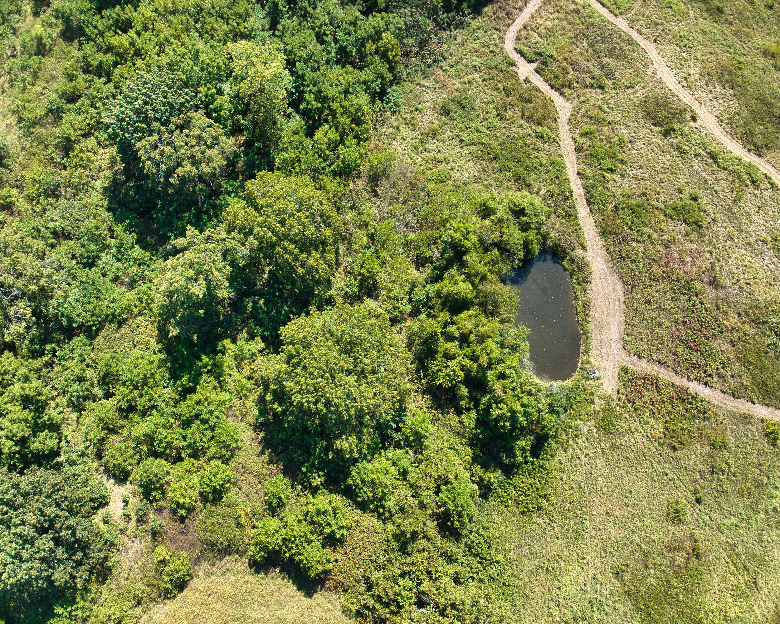 43 Spring Flood Road Property Photo 52