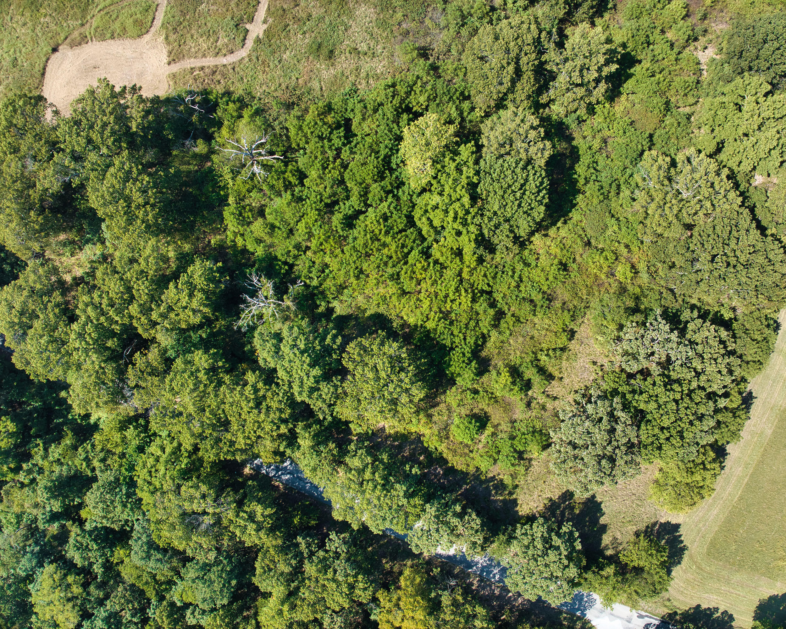 43 Spring Flood Road Property Photo 56