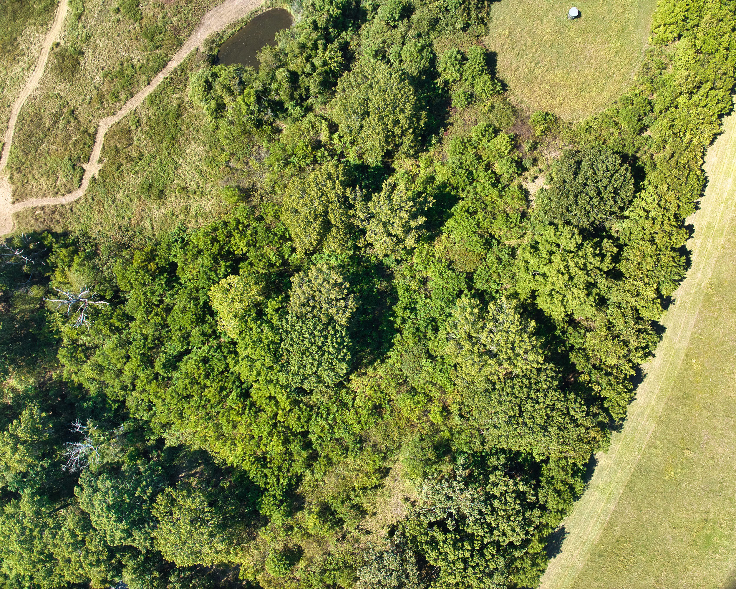 43 Spring Flood Road Property Photo 57