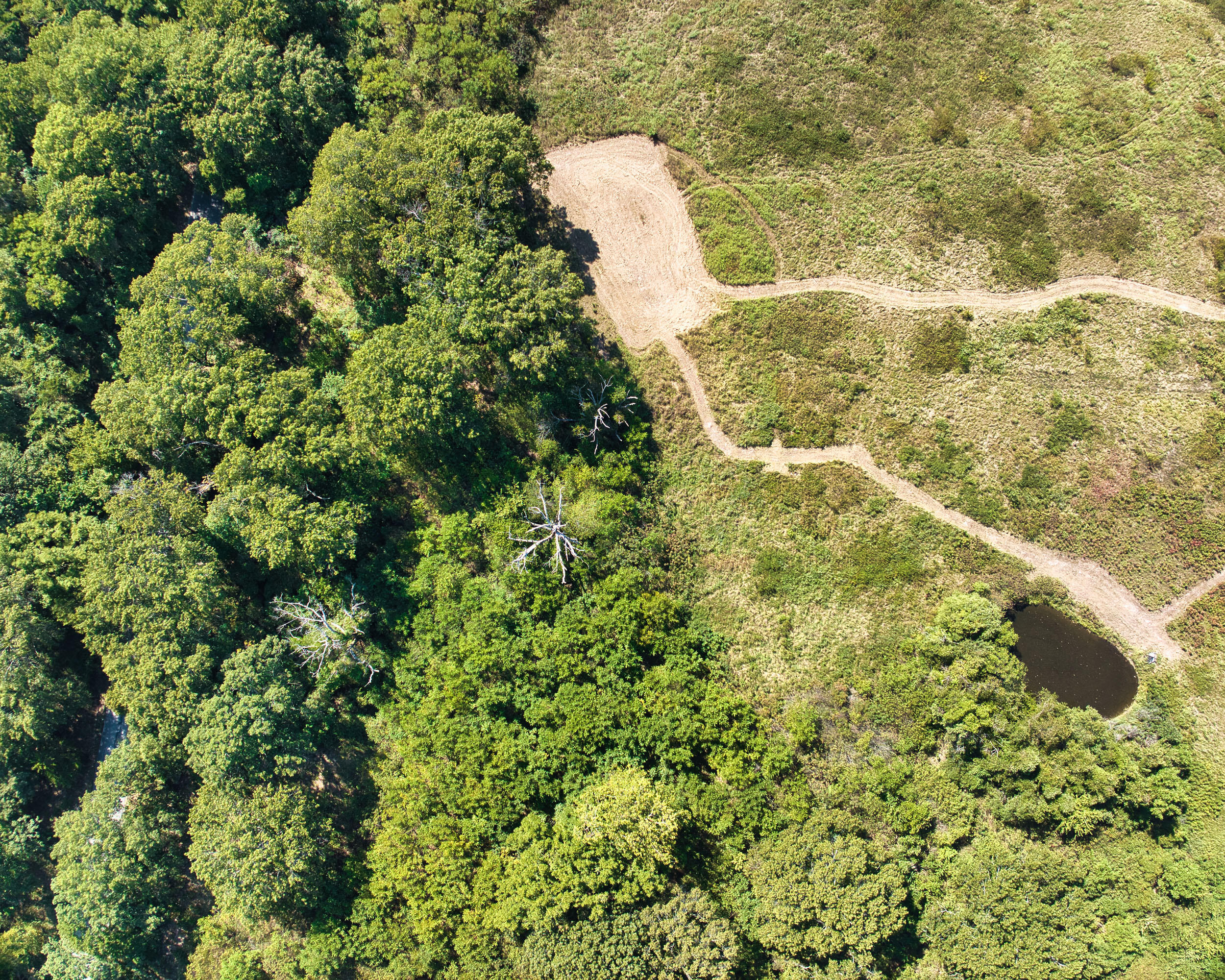 43 Spring Flood Road Property Photo 58