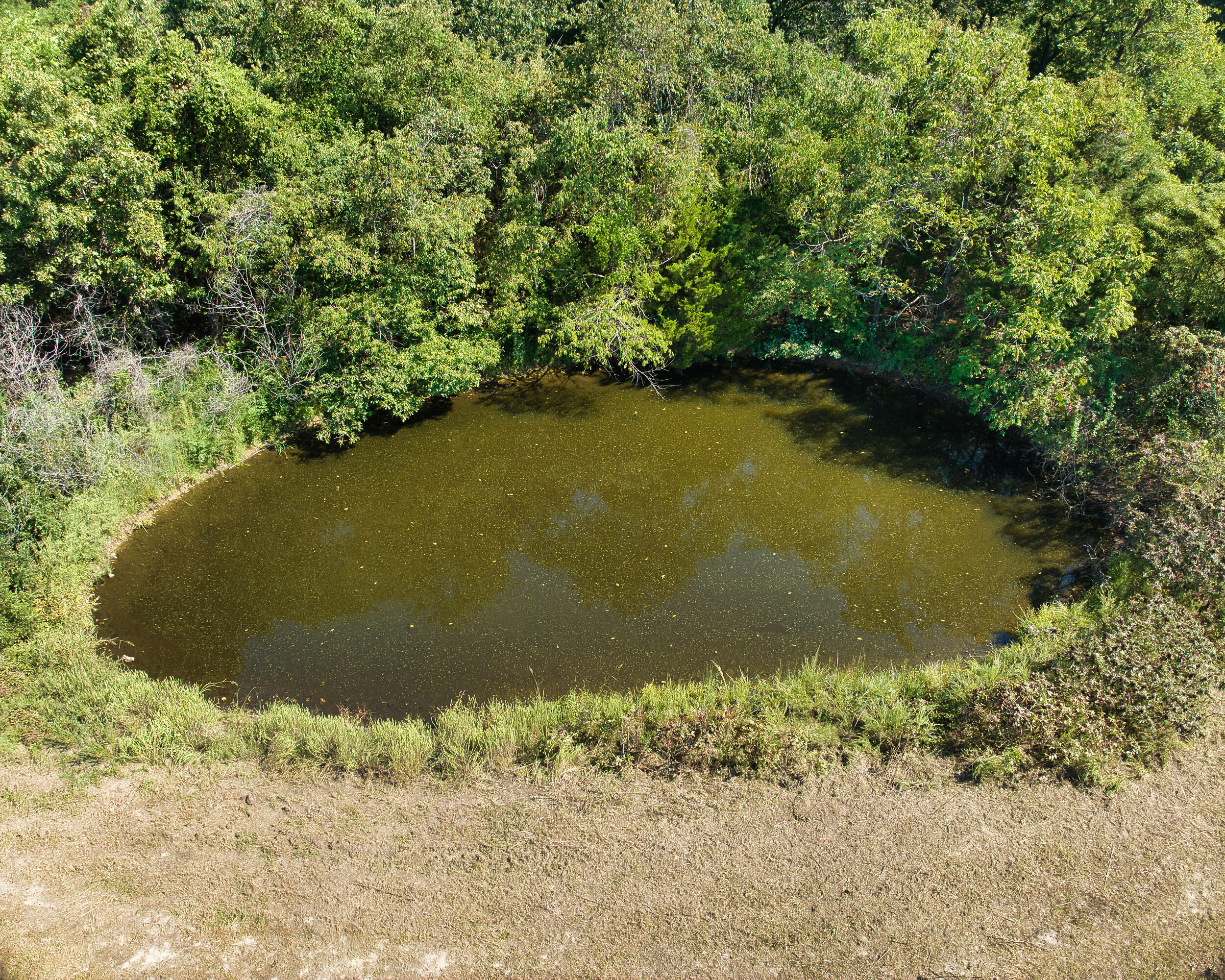 43 Spring Flood Road Property Photo 60