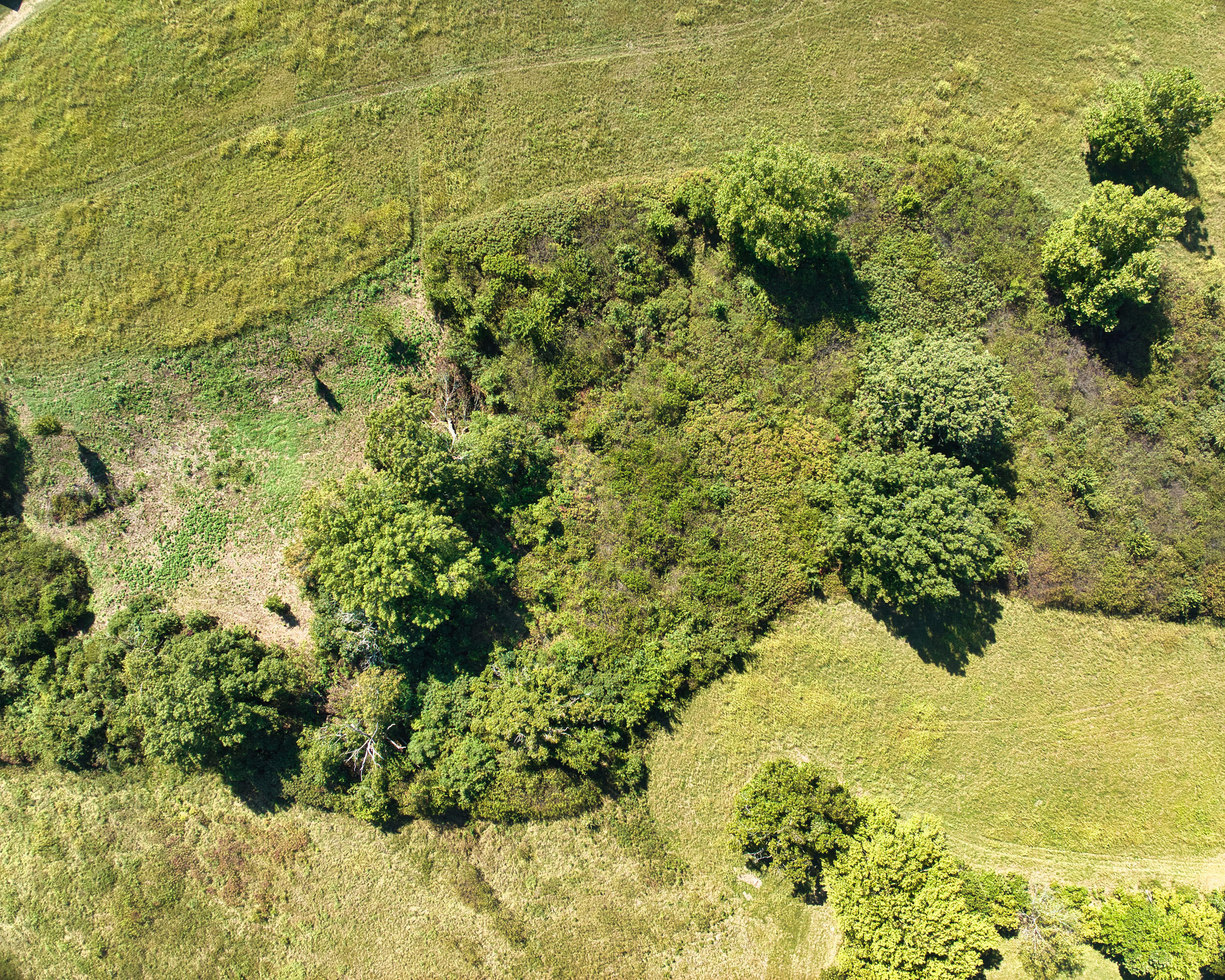 43 Spring Flood Road Property Photo 74