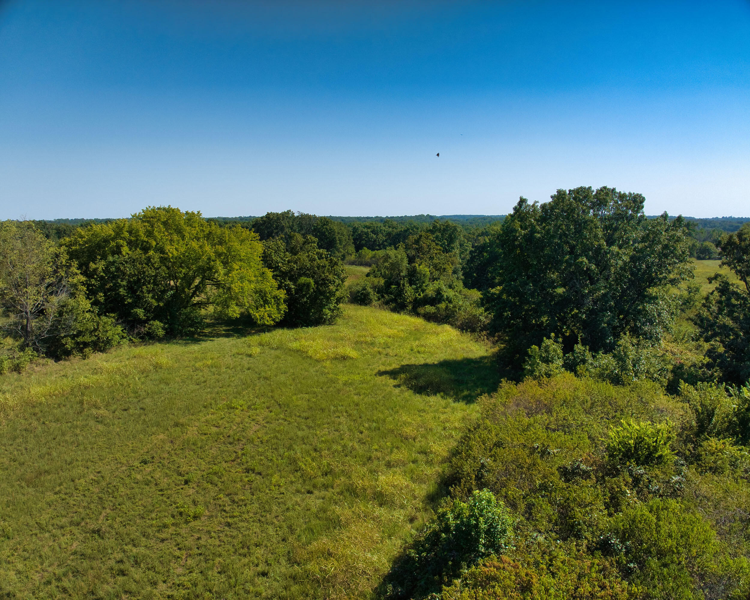 43 Spring Flood Road Property Photo 85