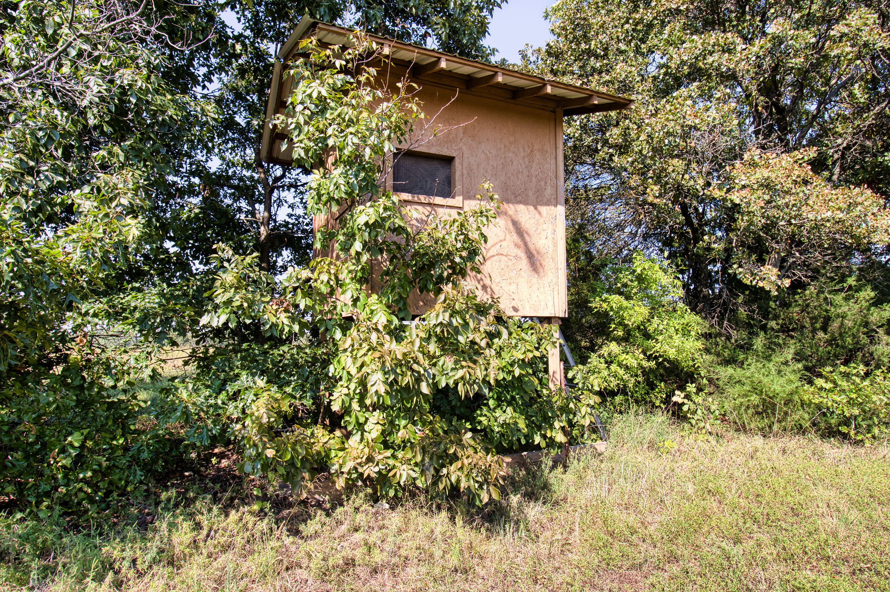 43 Spring Flood Road Property Photo 175