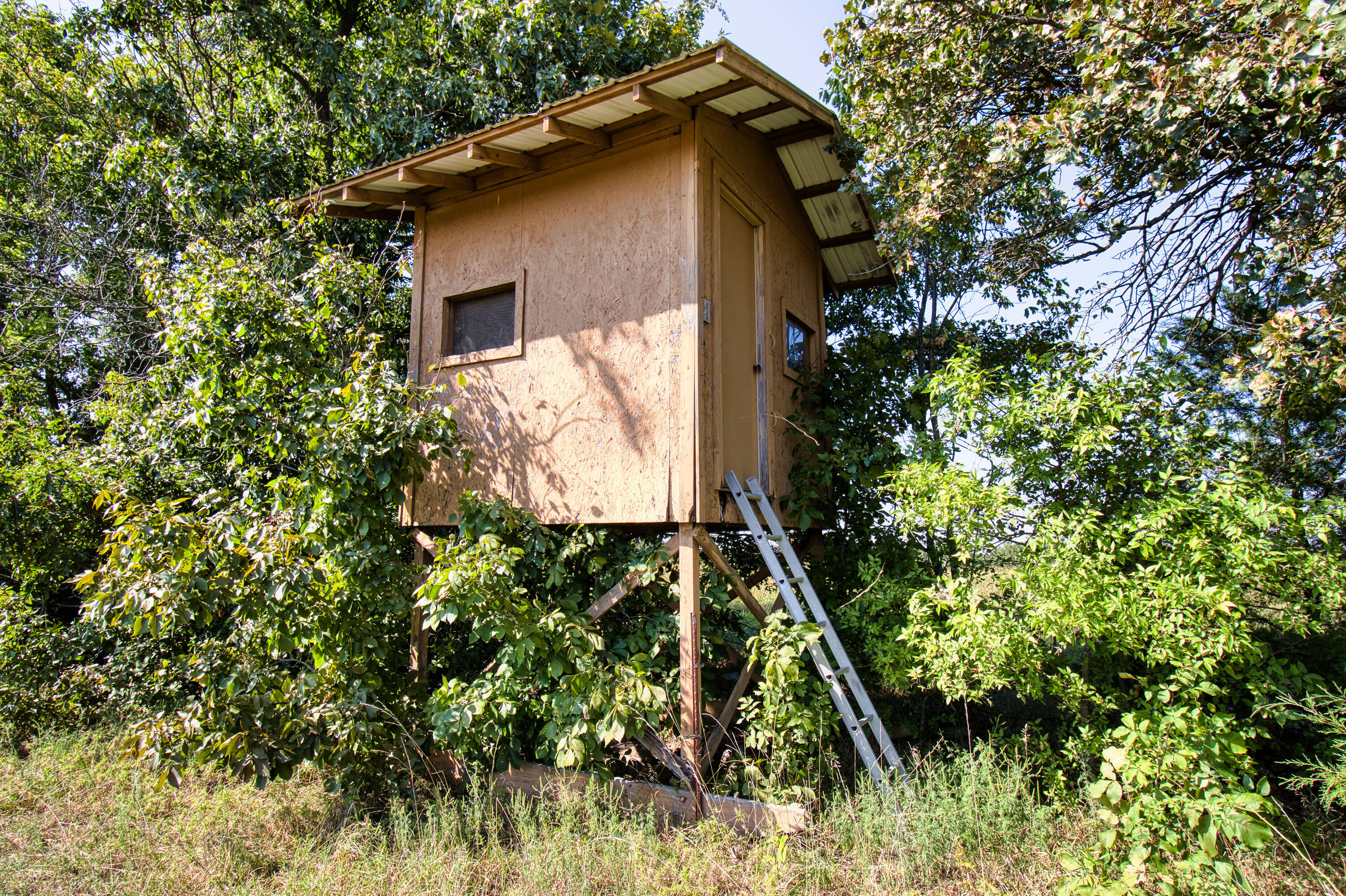 43 Spring Flood Road Property Photo 176