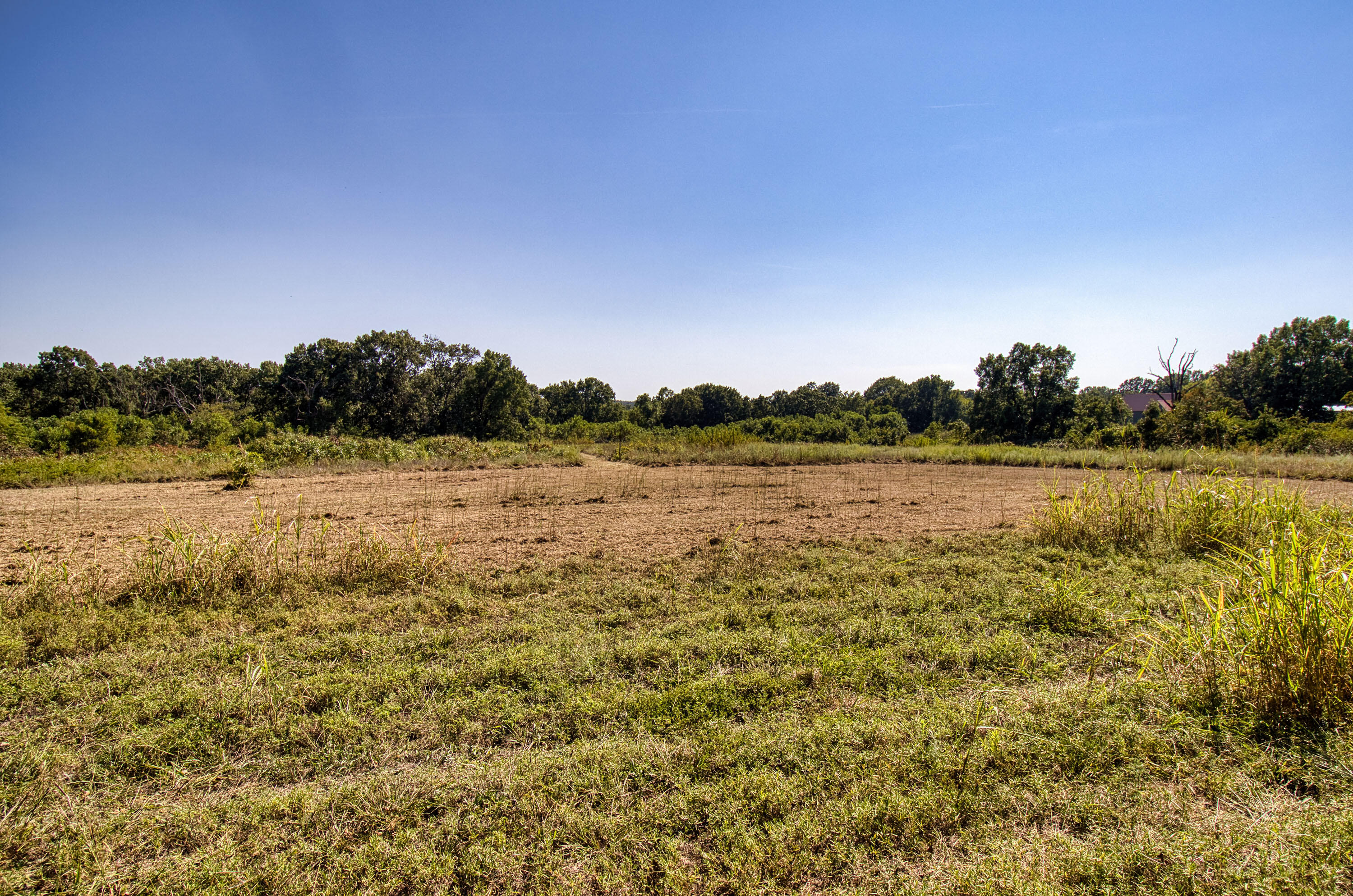 43 Spring Flood Road Property Photo 177