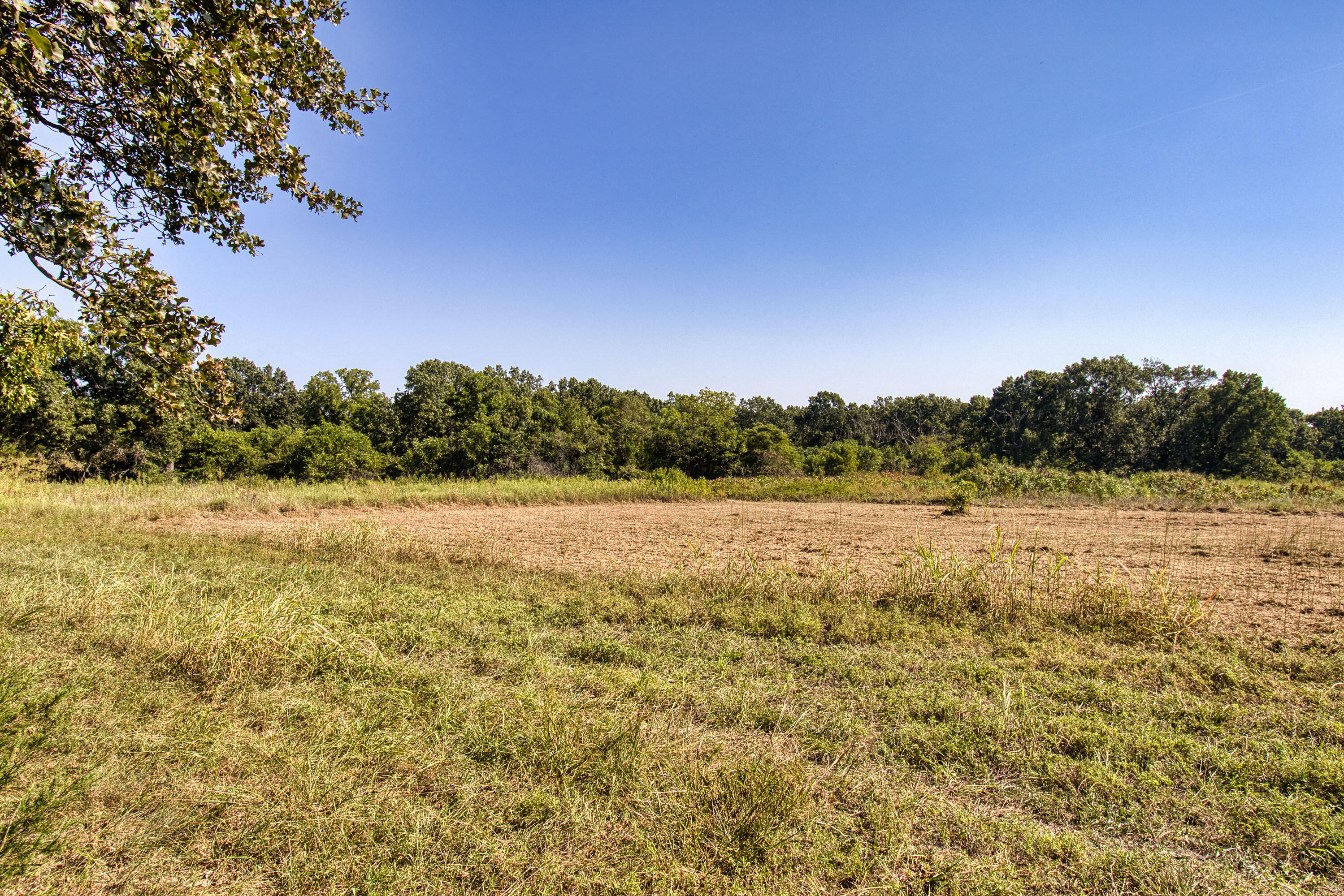 43 Spring Flood Road Property Photo 178