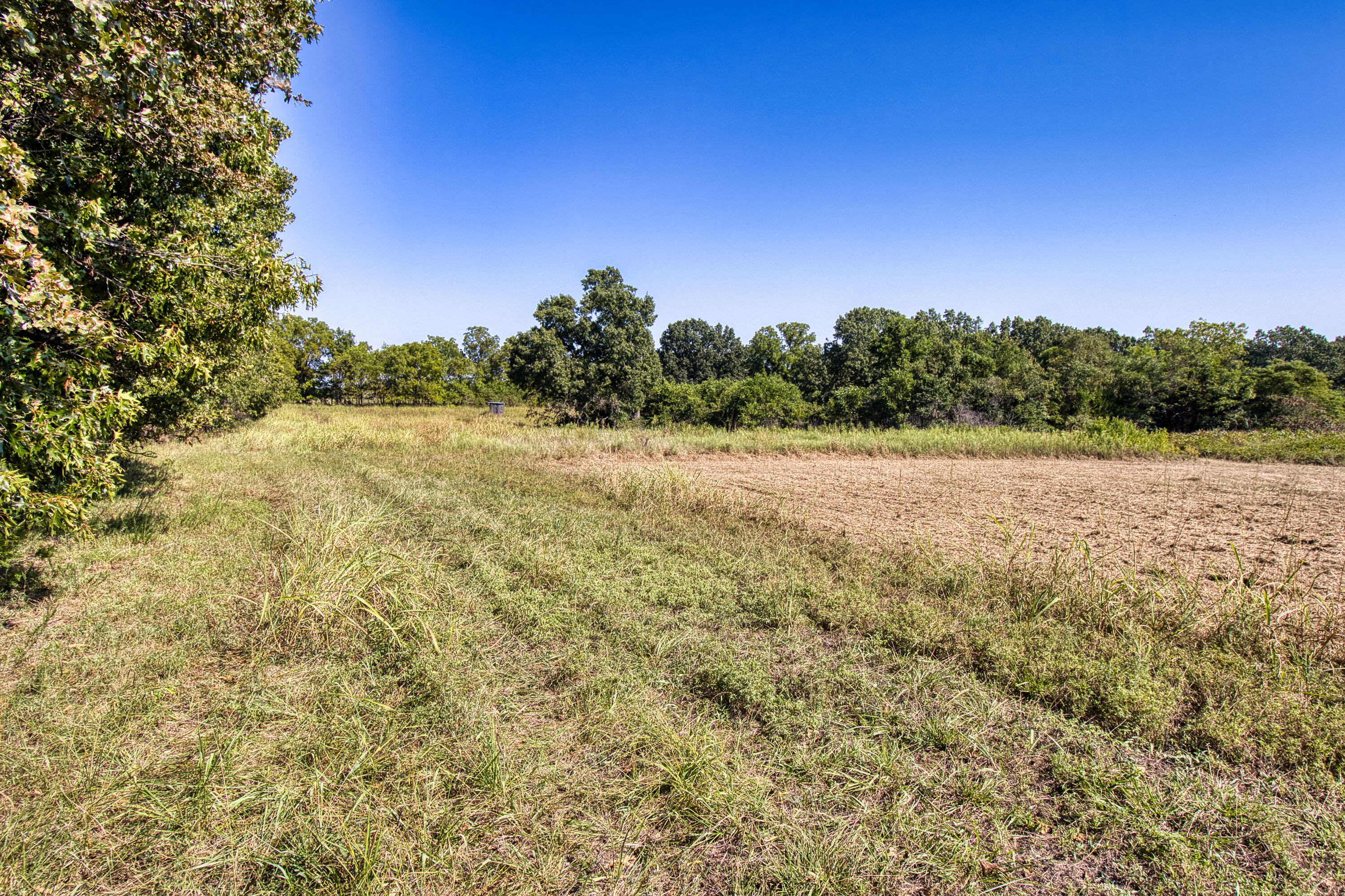 43 Spring Flood Road Property Photo 179