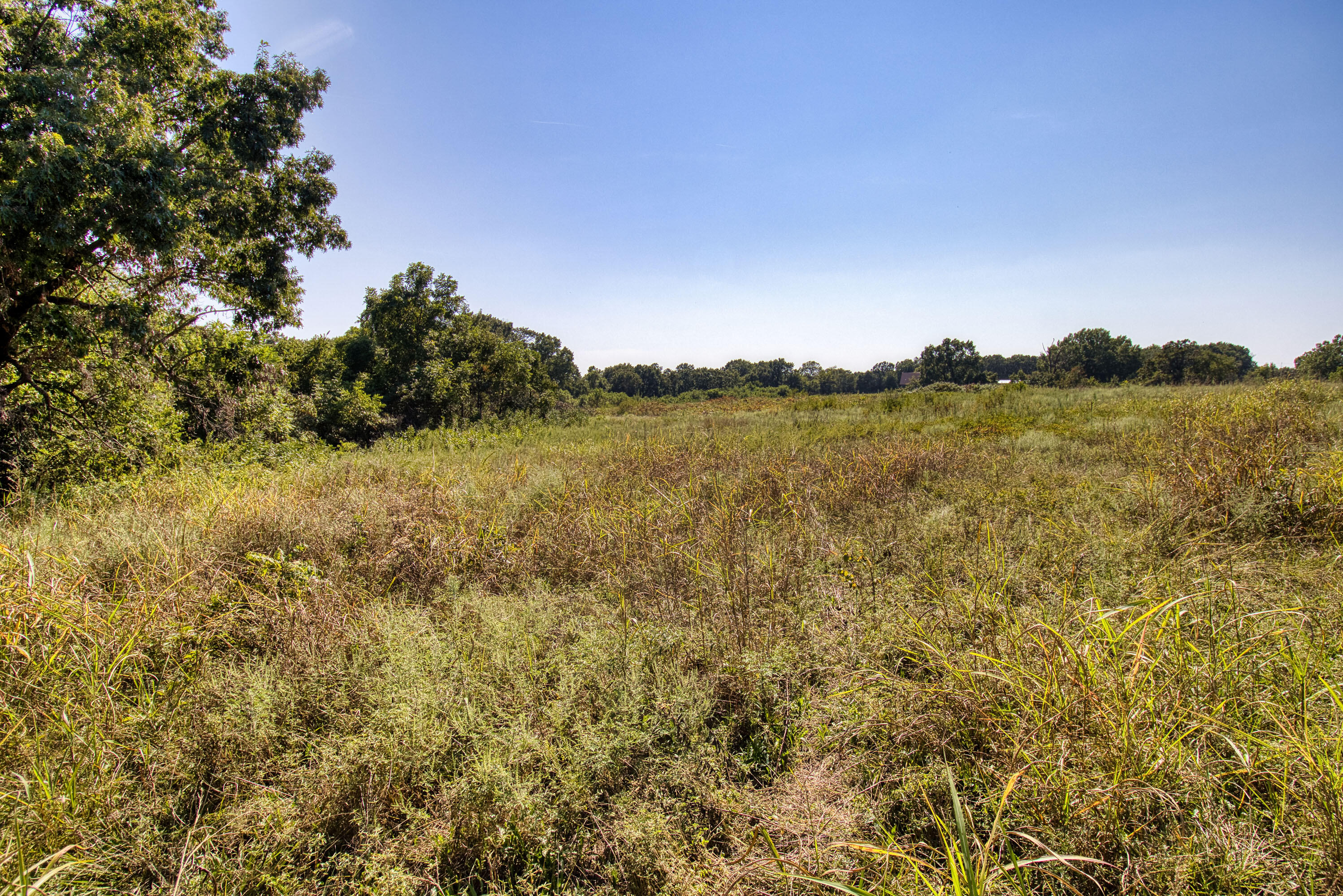 43 Spring Flood Road Property Photo 181
