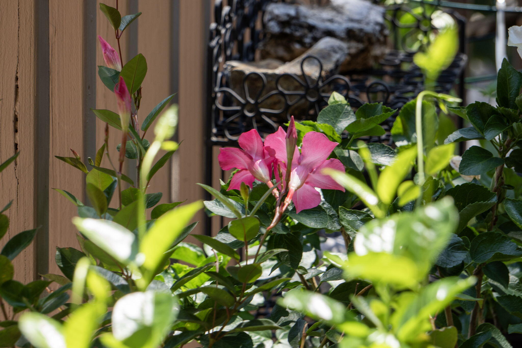 1704 Cedar Ridge Way Property Photo 6